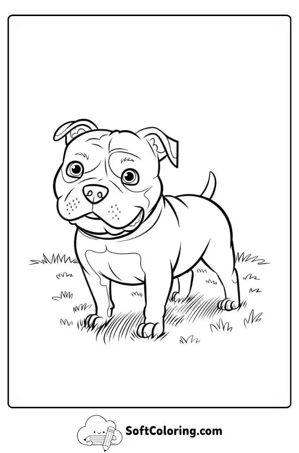 Pitbull Dog Coloring Page