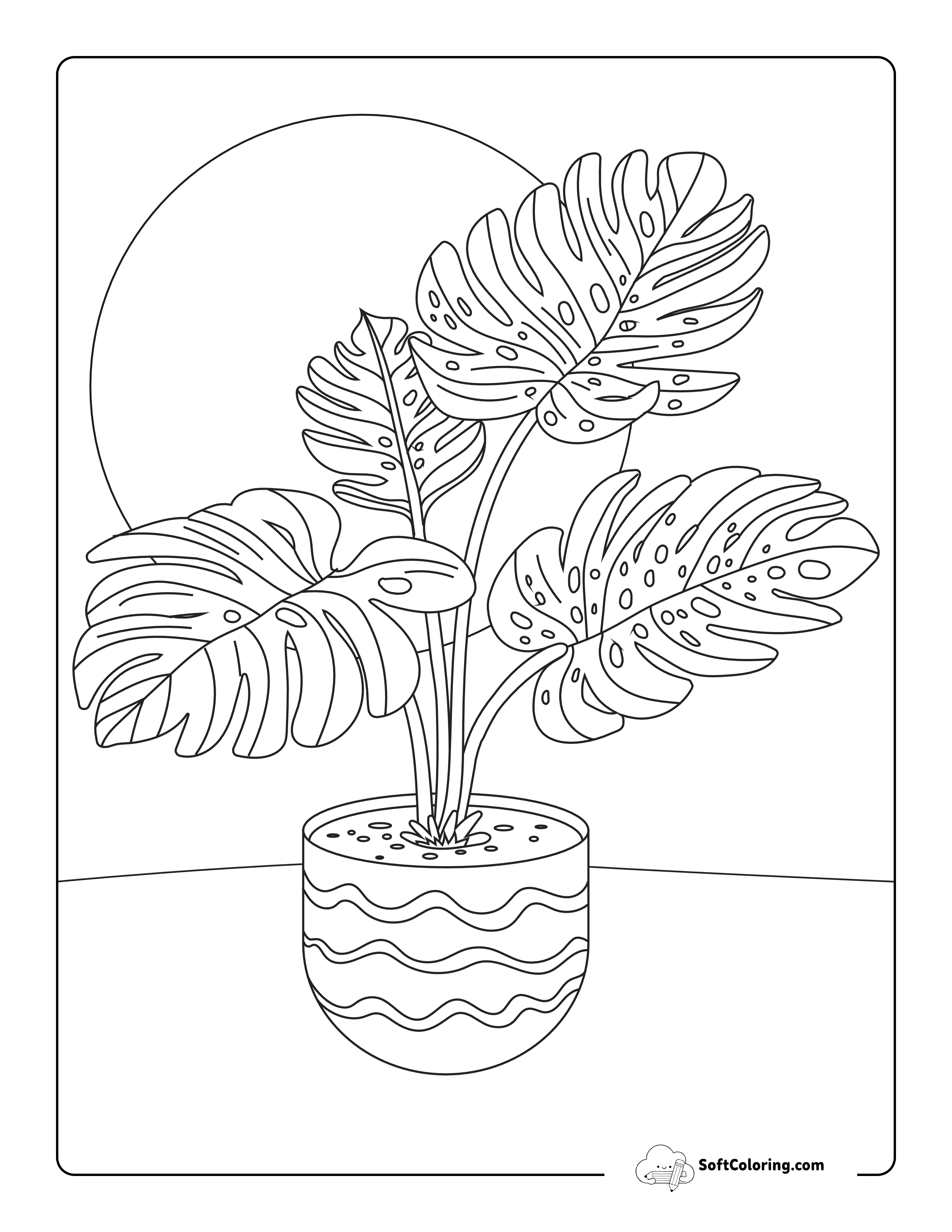Realistic Monstera Plant Outline For Adults