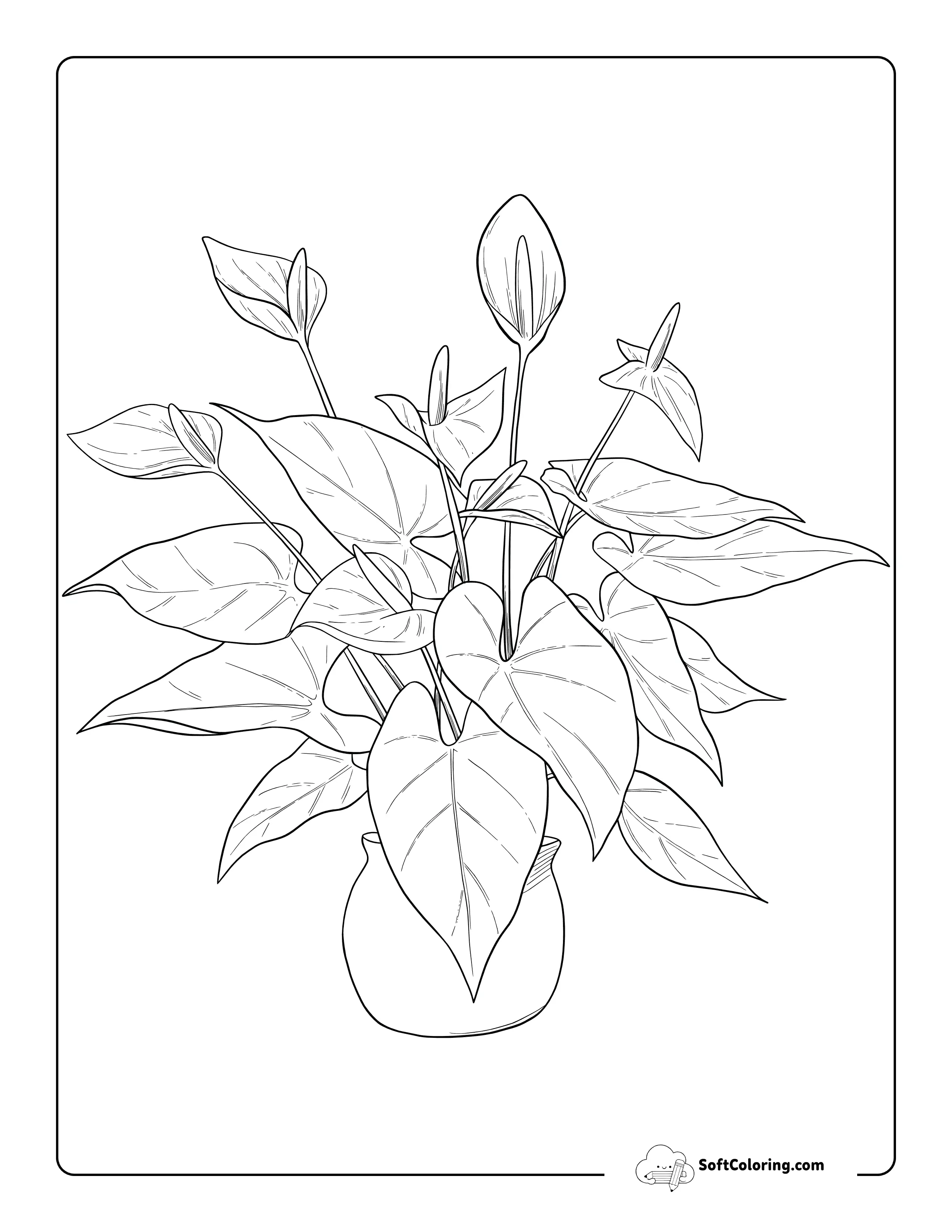 Realistic Potted Anthurium Flower Illustration