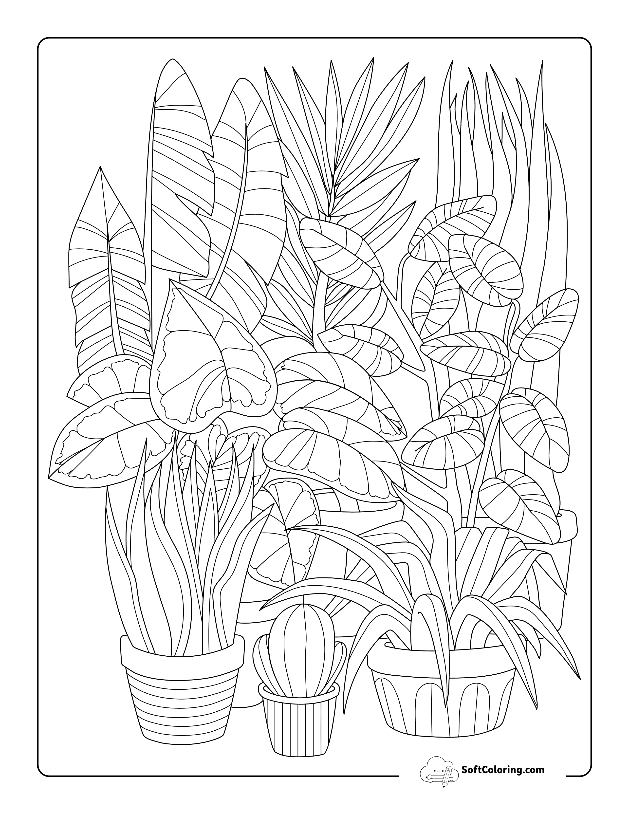 Realistic Plants Drawing For Adults To Color