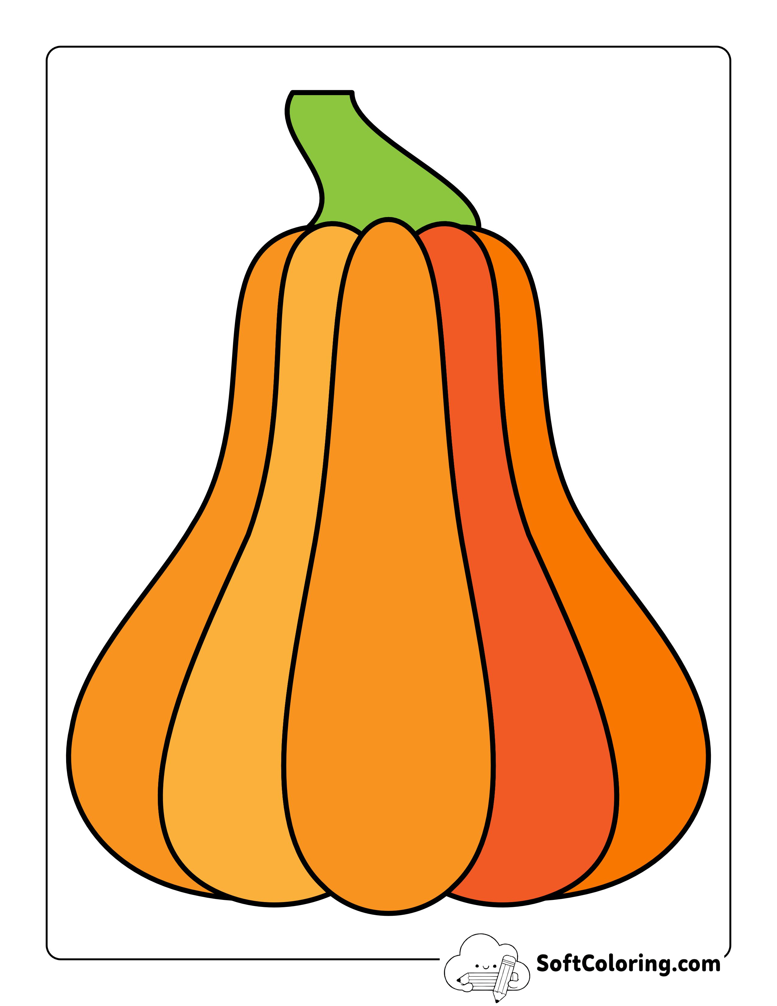 Colored Squash Printable - Large