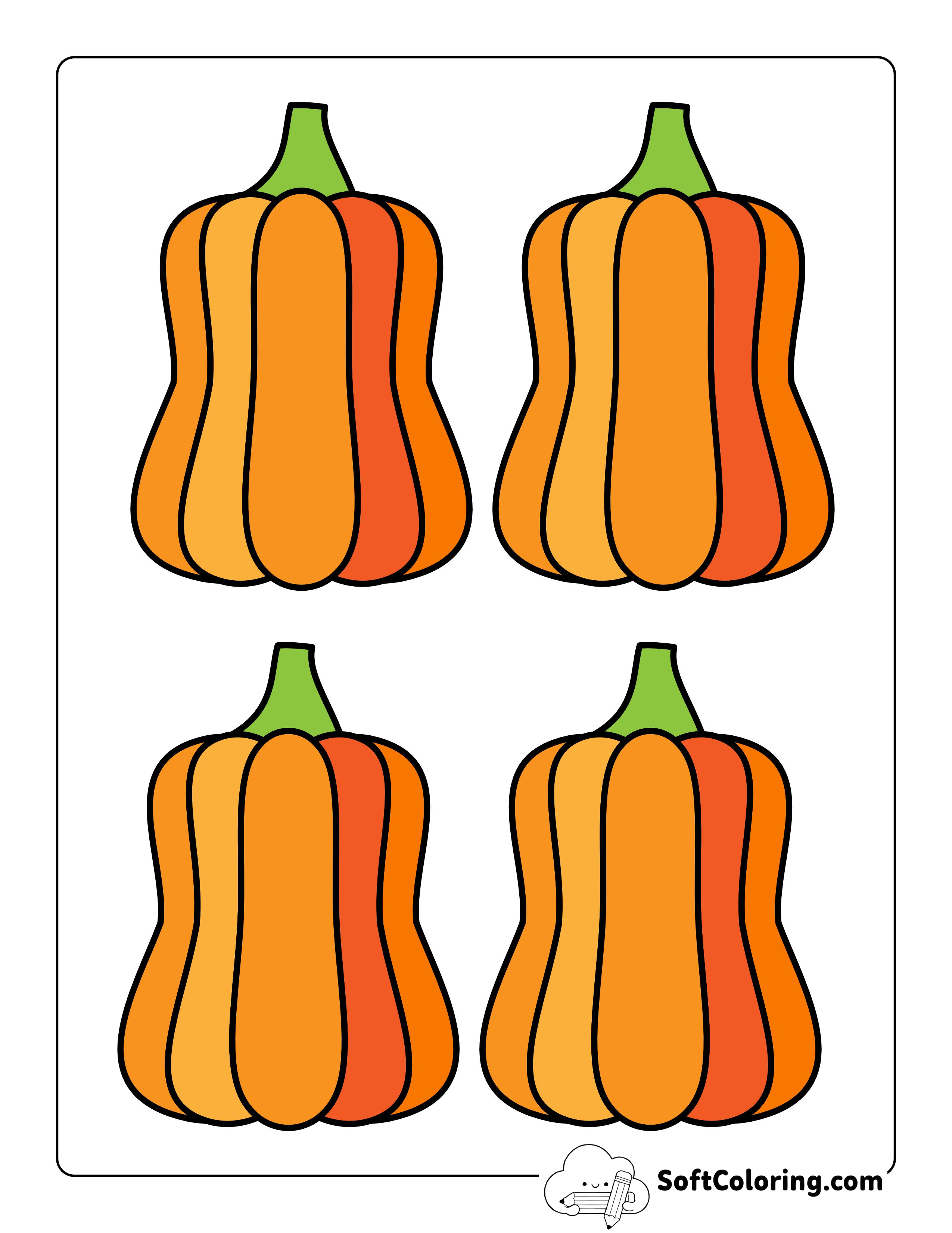 Colored Butternut Squash - Small