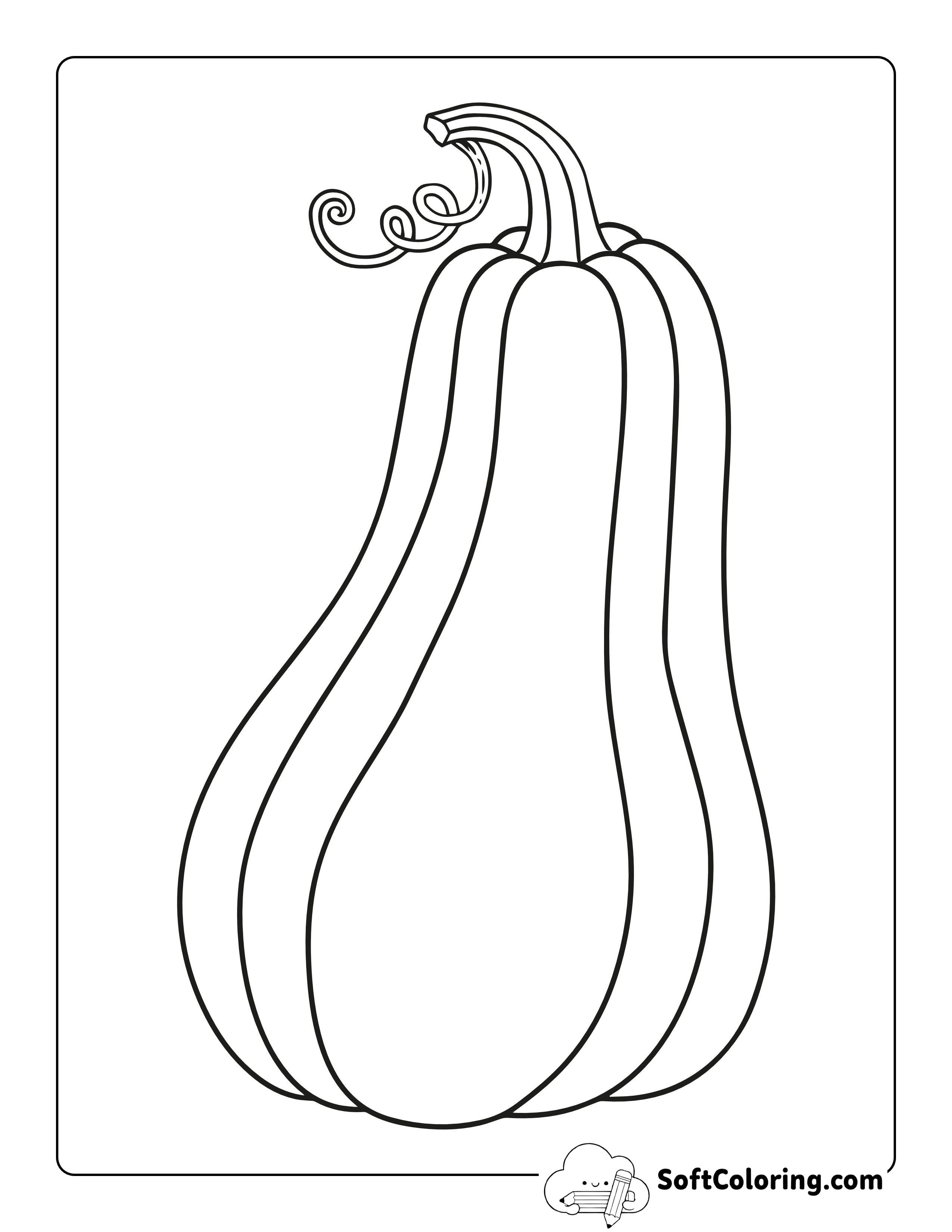 Tall Pumpkin With Curly Vine Picture To Color