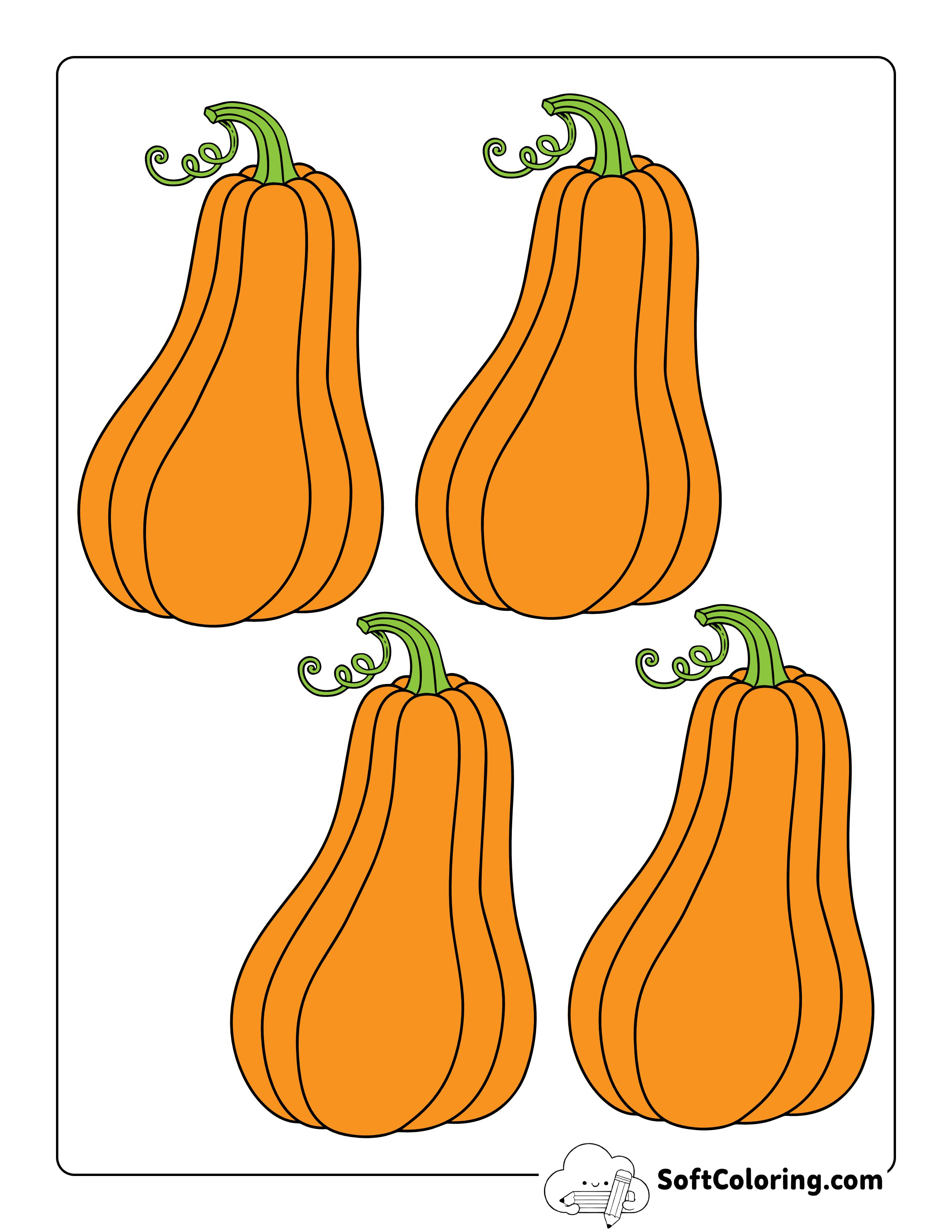 Colored Squash Printable - Small