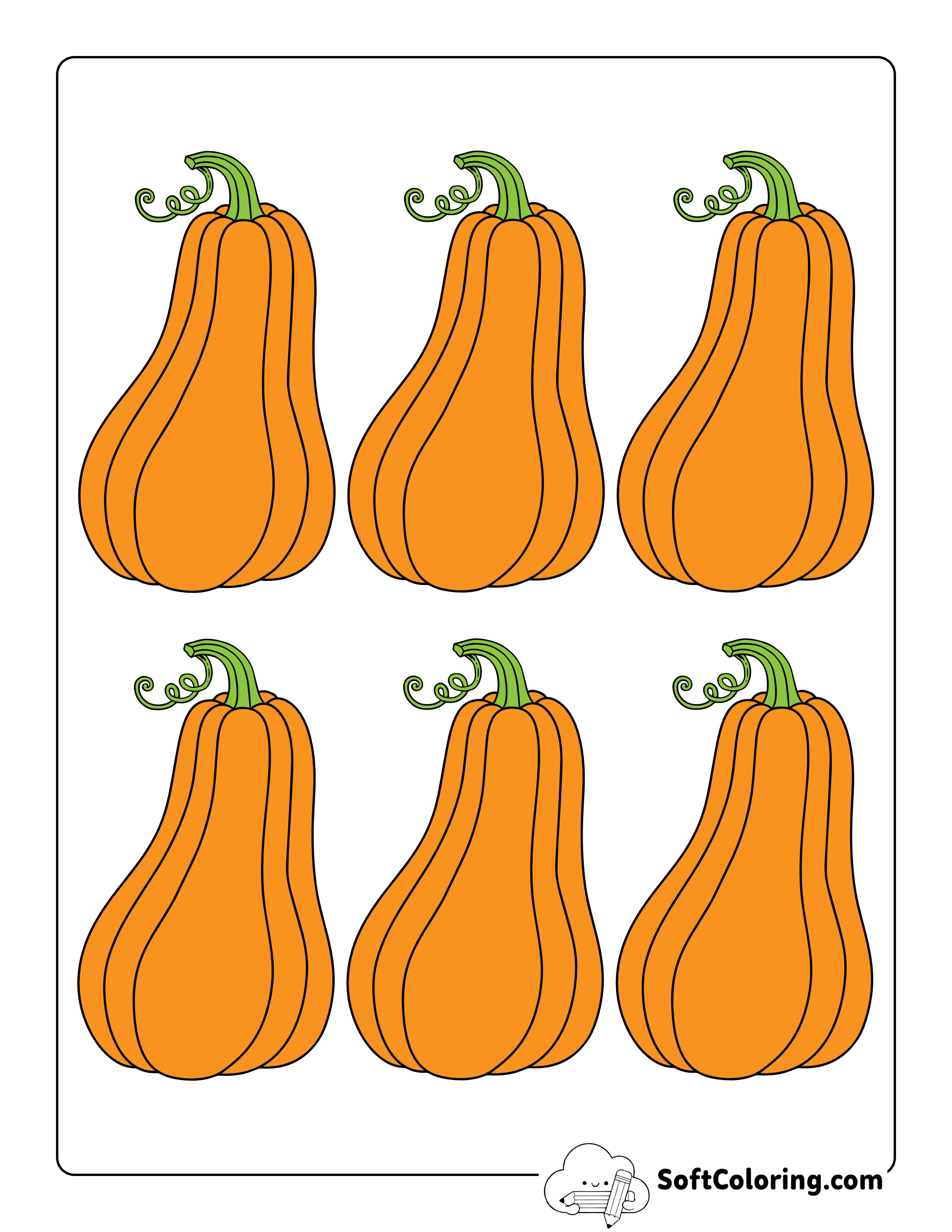 Colored Printable Squash Templates - Xs