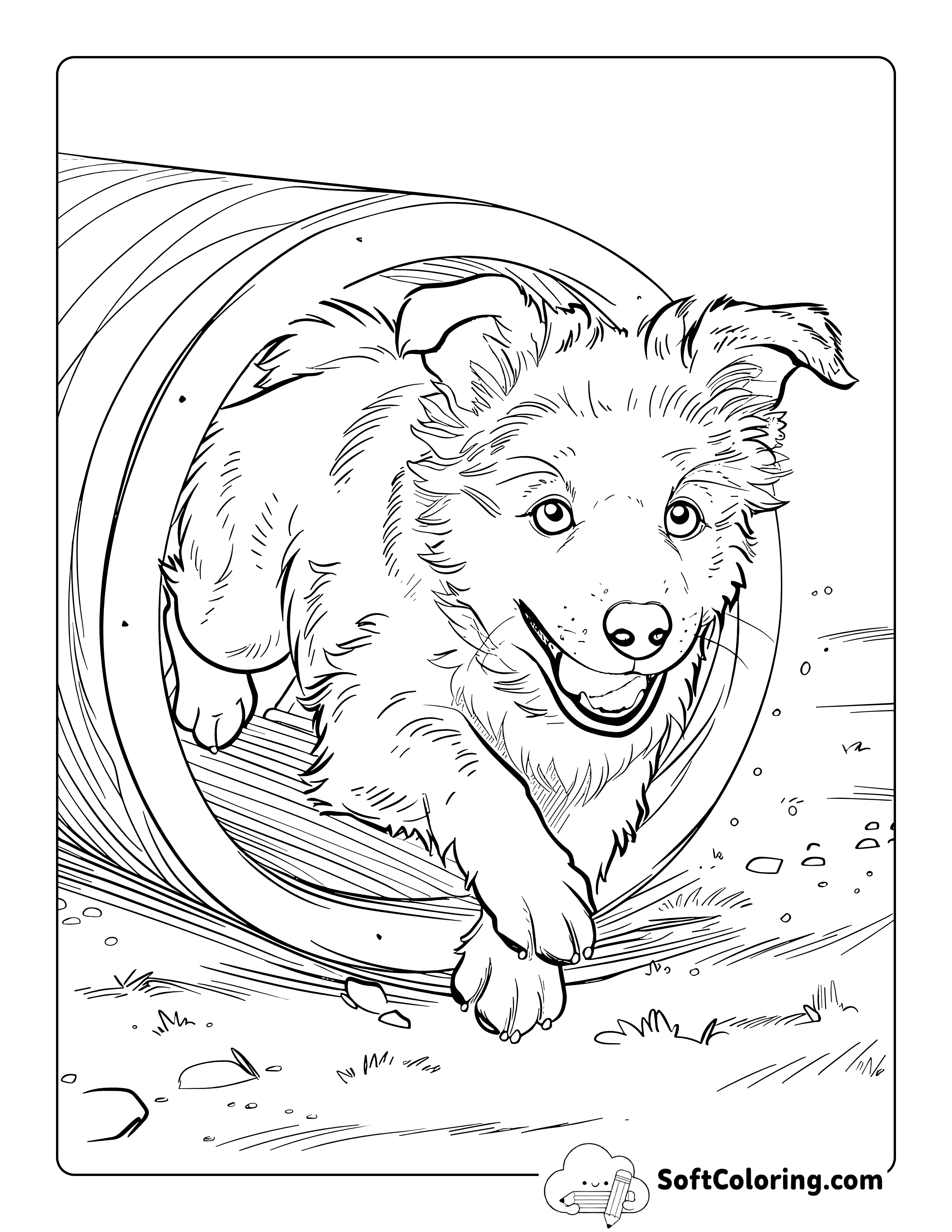 Cute Realistic Australian Shepherd Coloring Page for Teens and Adults