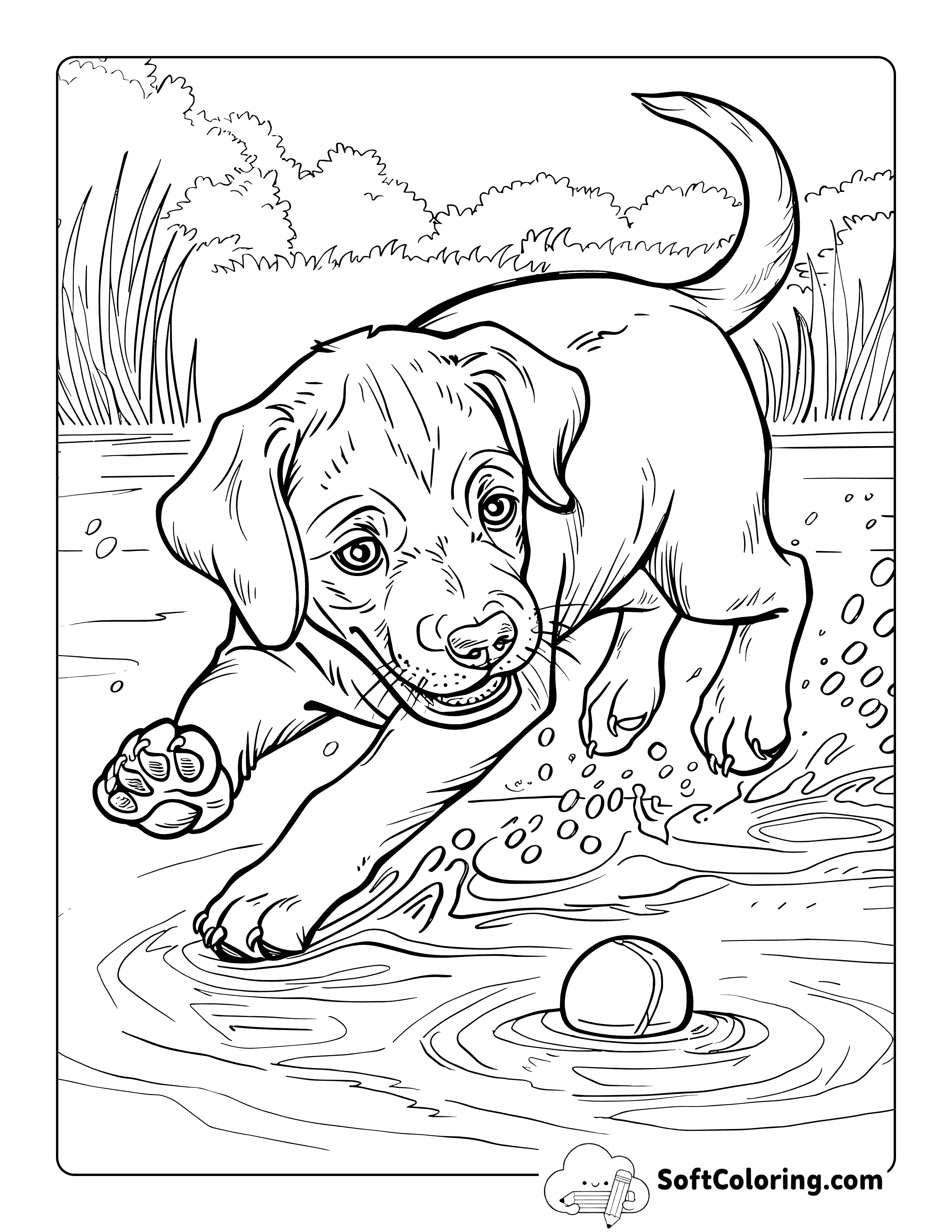 Realistic Labrador Puppy Coloring Scene for Adults