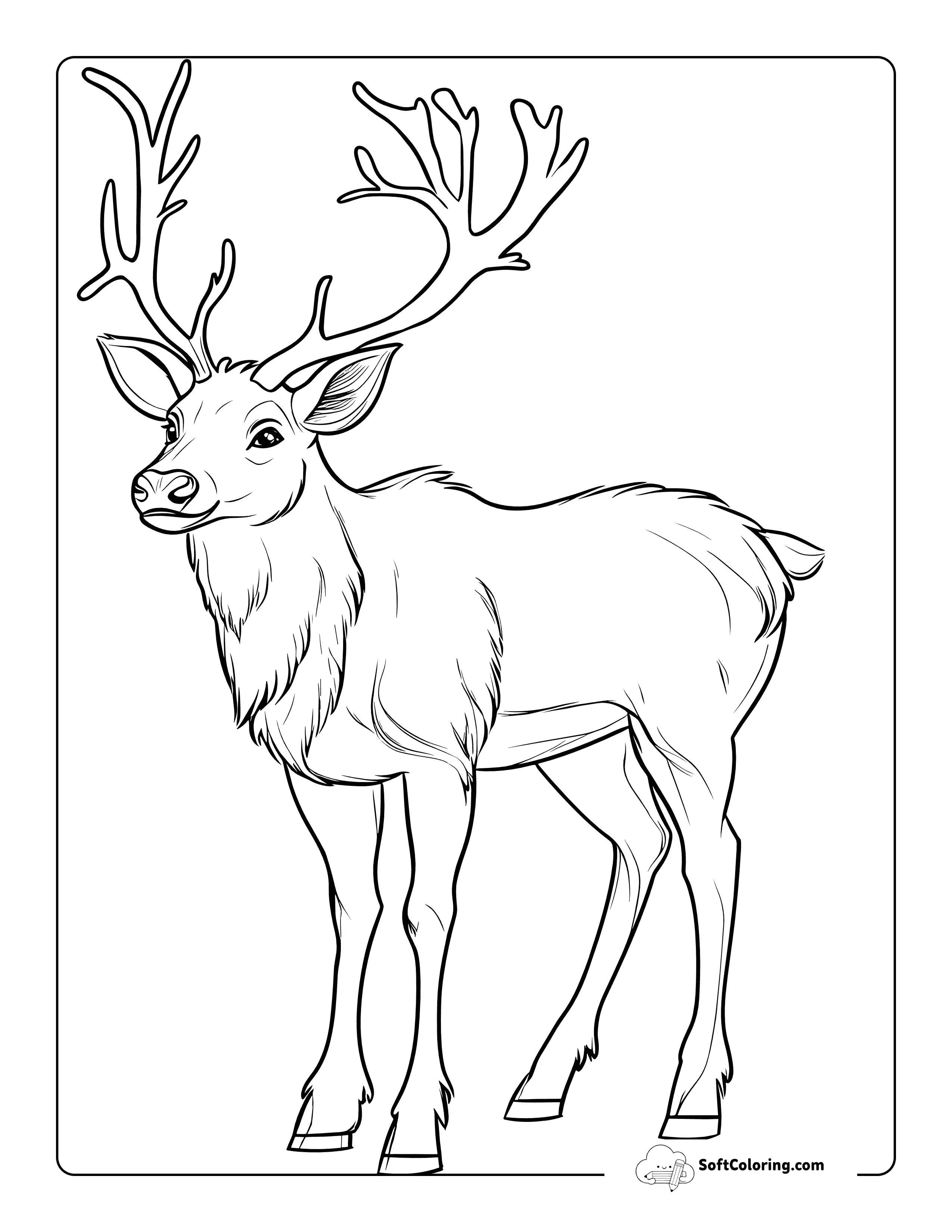 New! Realistic Reindeer Outline Printable To Color