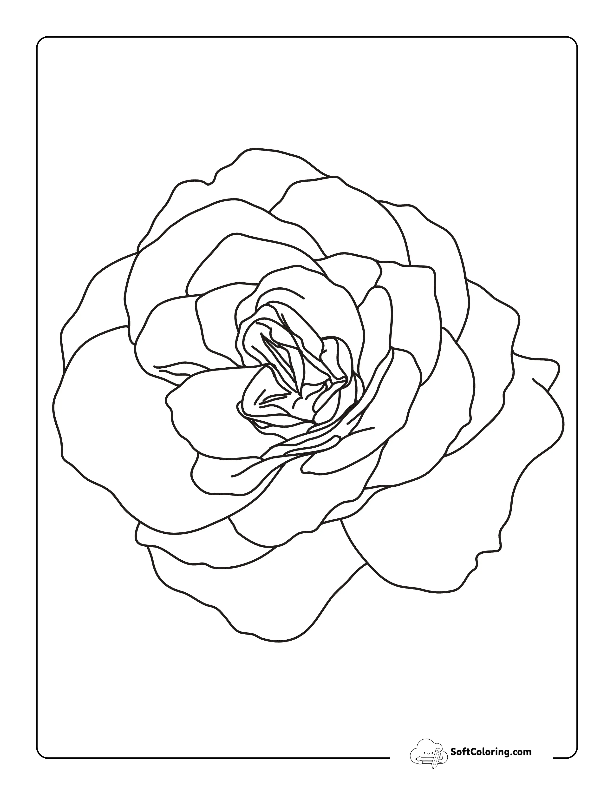 Easy Realistic Rose Coloring Sheet