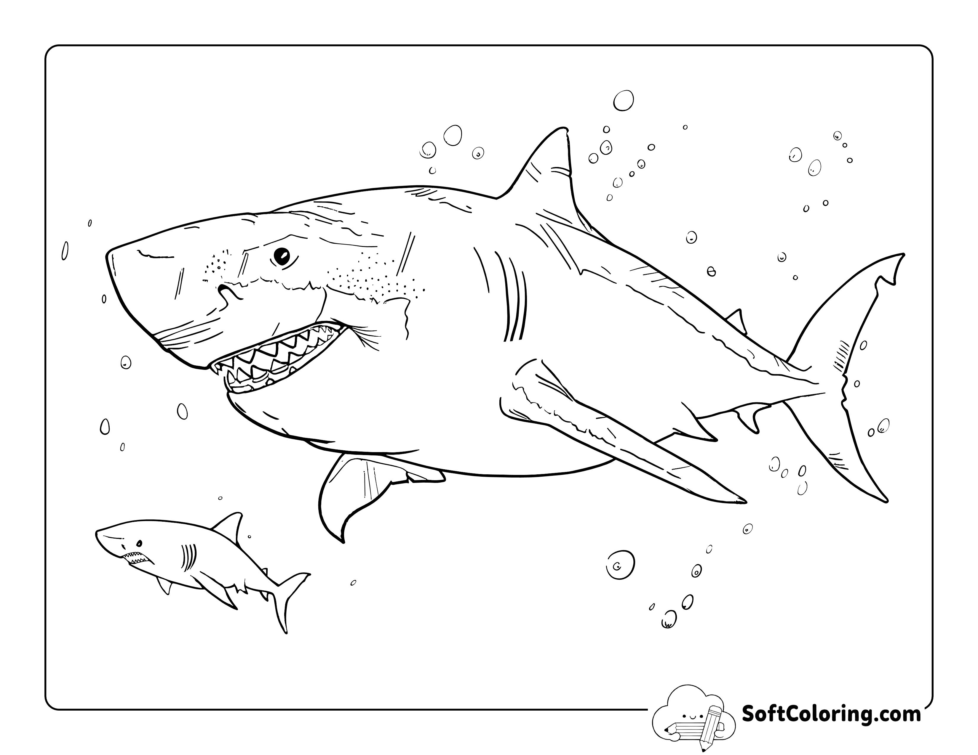 Detailed Predatory Megalodon Coloring Page for Teens and Adults