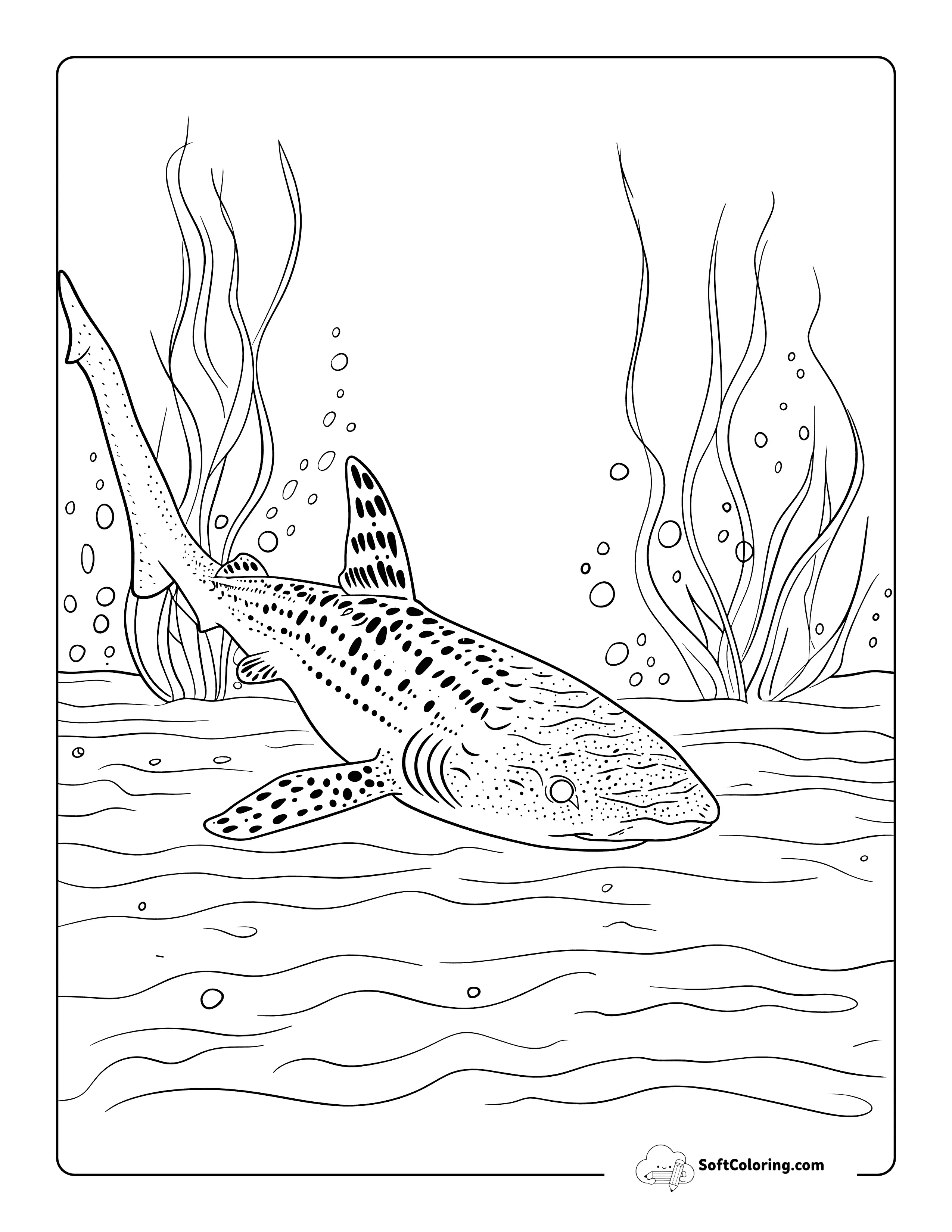 Realistic Zebra Shark In Ocean Coloring Page For Adults