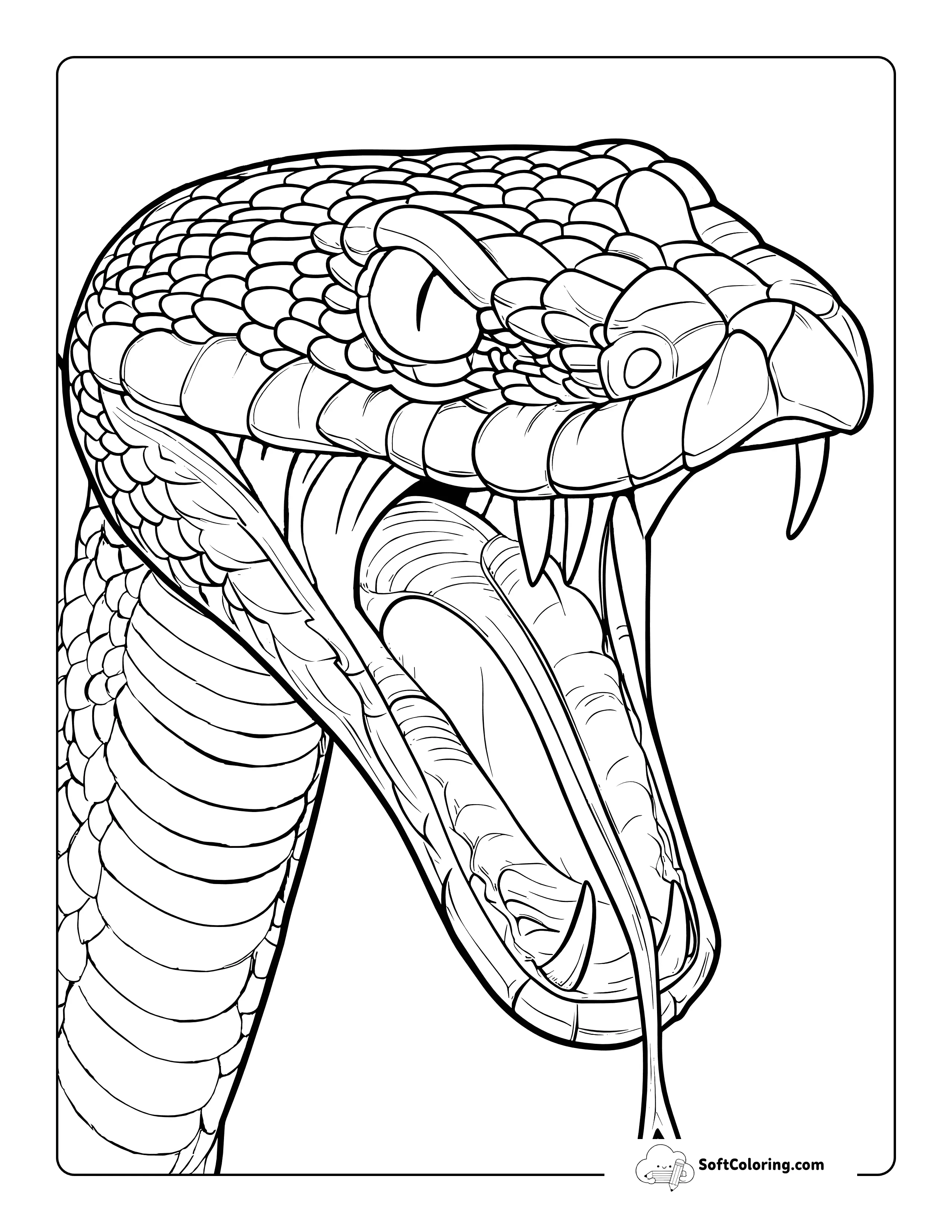 Scary Snake Realistic Viper Coloring Page
