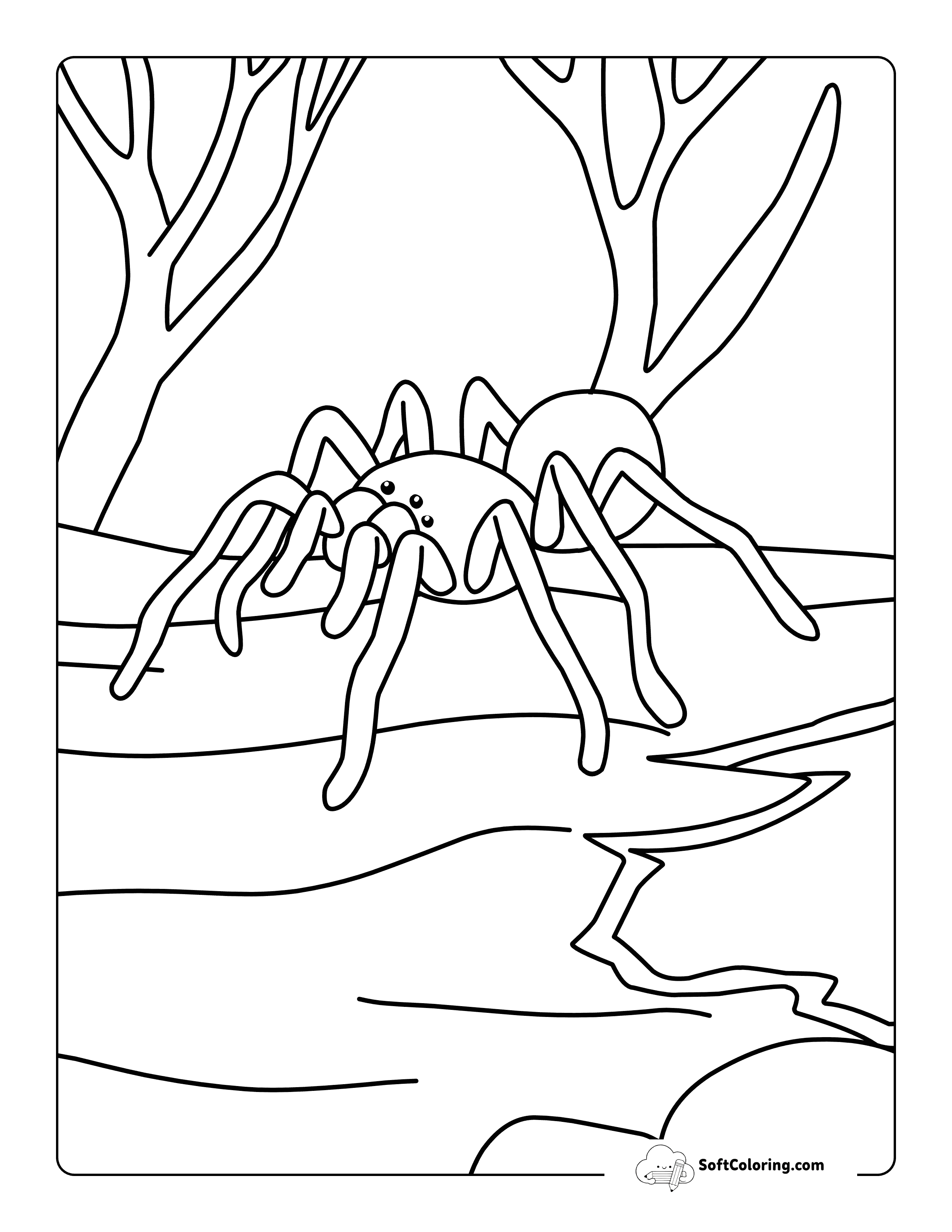 Tarantula Crawling On A Log - Easy Realistic Spider Coloring Page