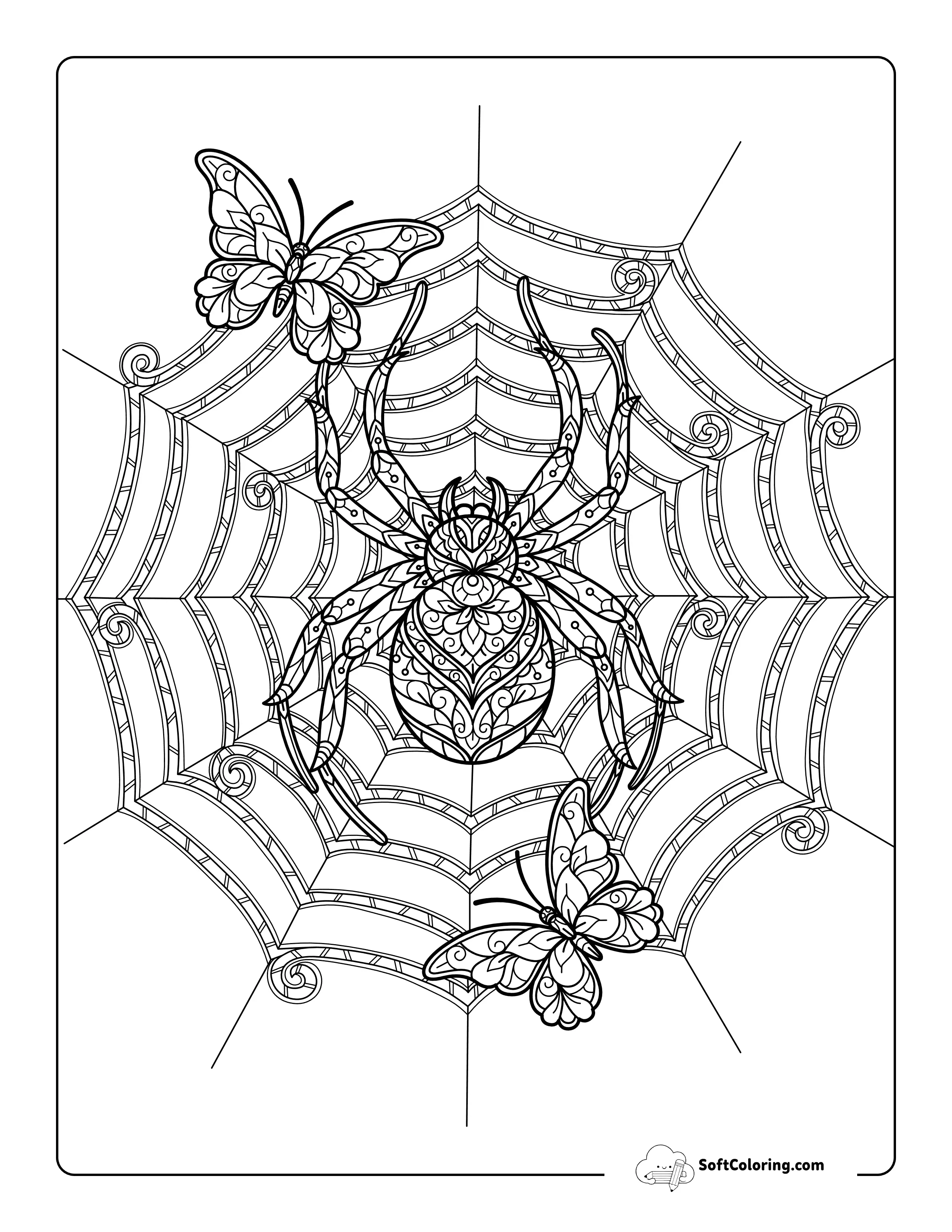 Fierce Spider And Butterfly Zentangle For Adults To Color