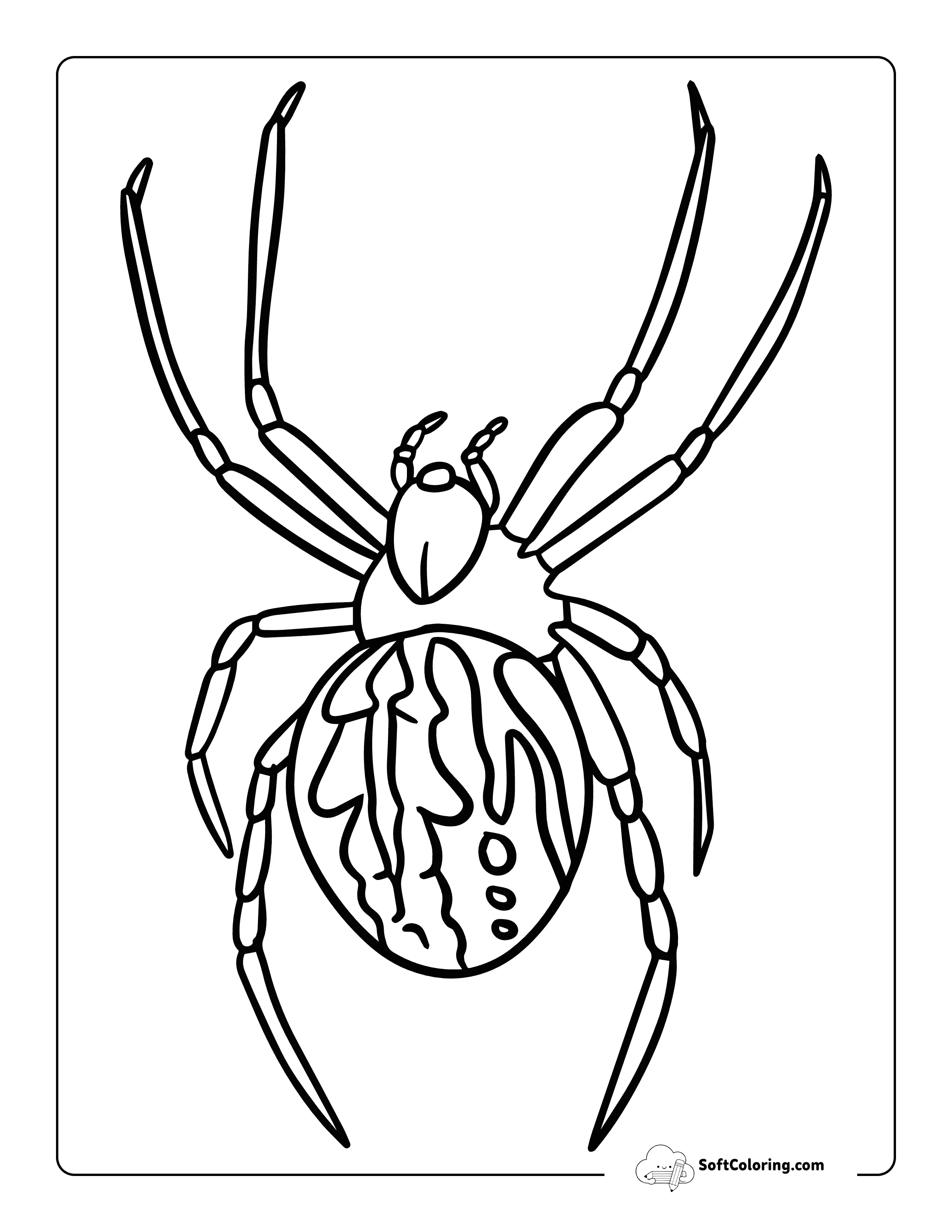 Fierce Orb Weaver Spider - Realistic Spider Coloring Page