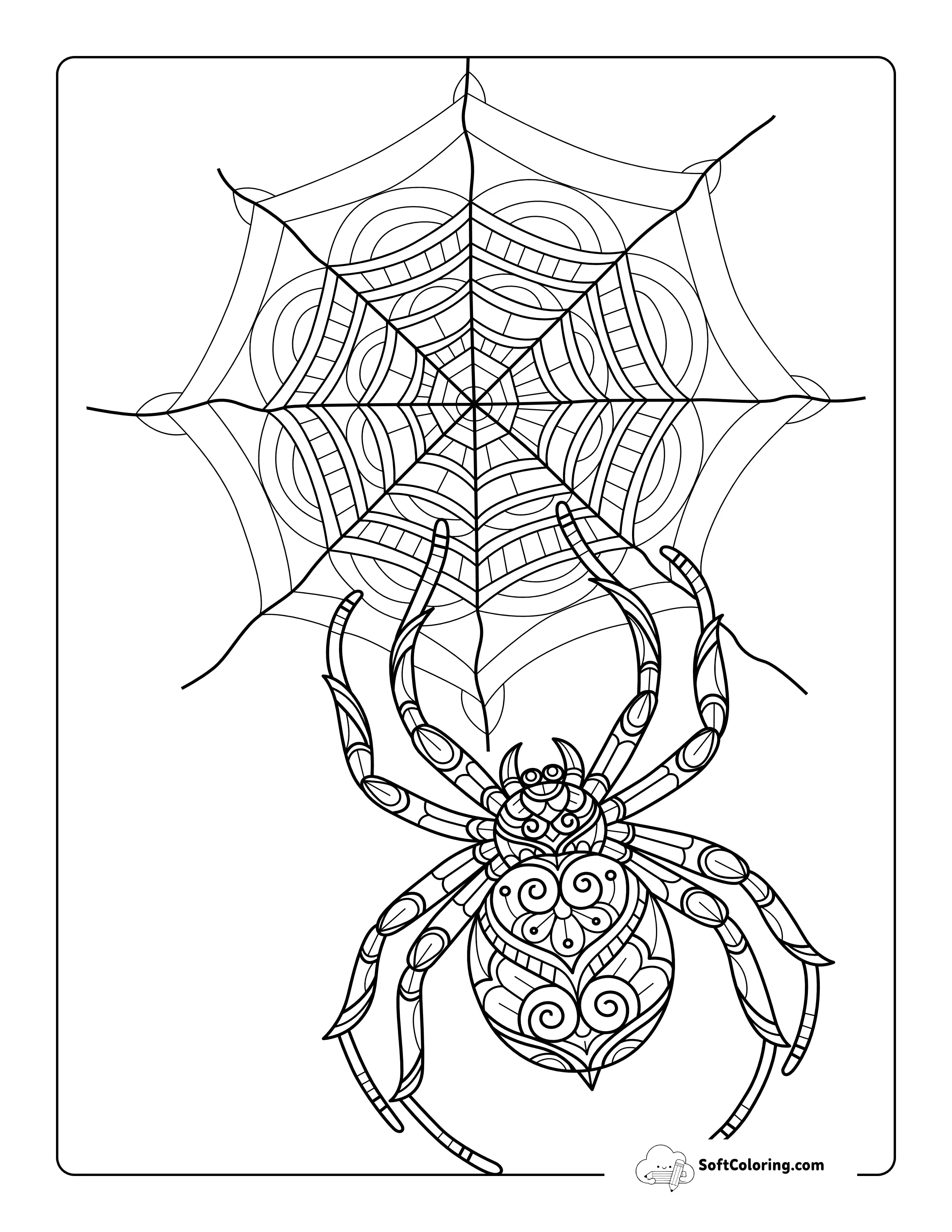 Realistic Spider And Web Zentangle For Adults To Color