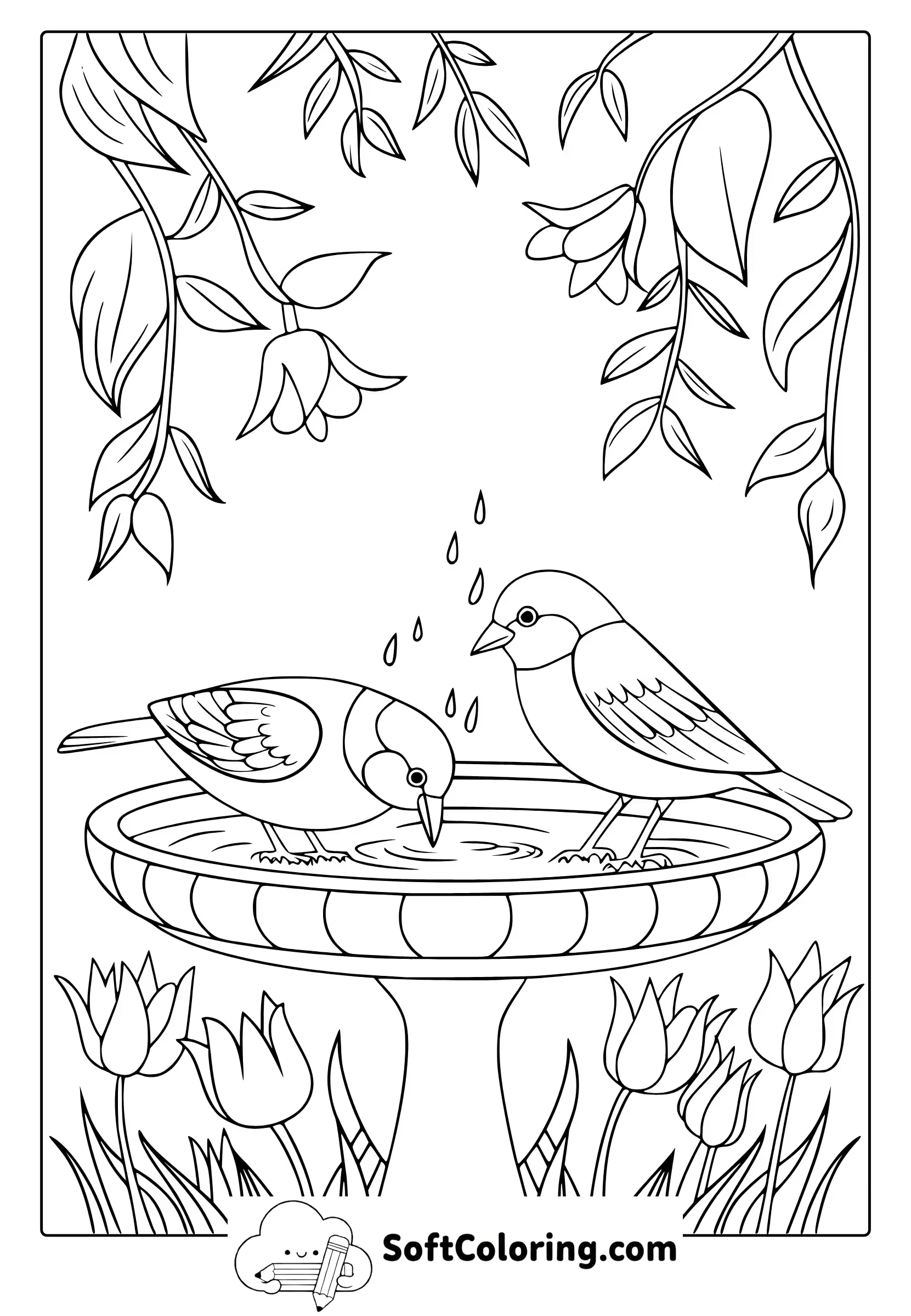 Spring Birds Coloring Page