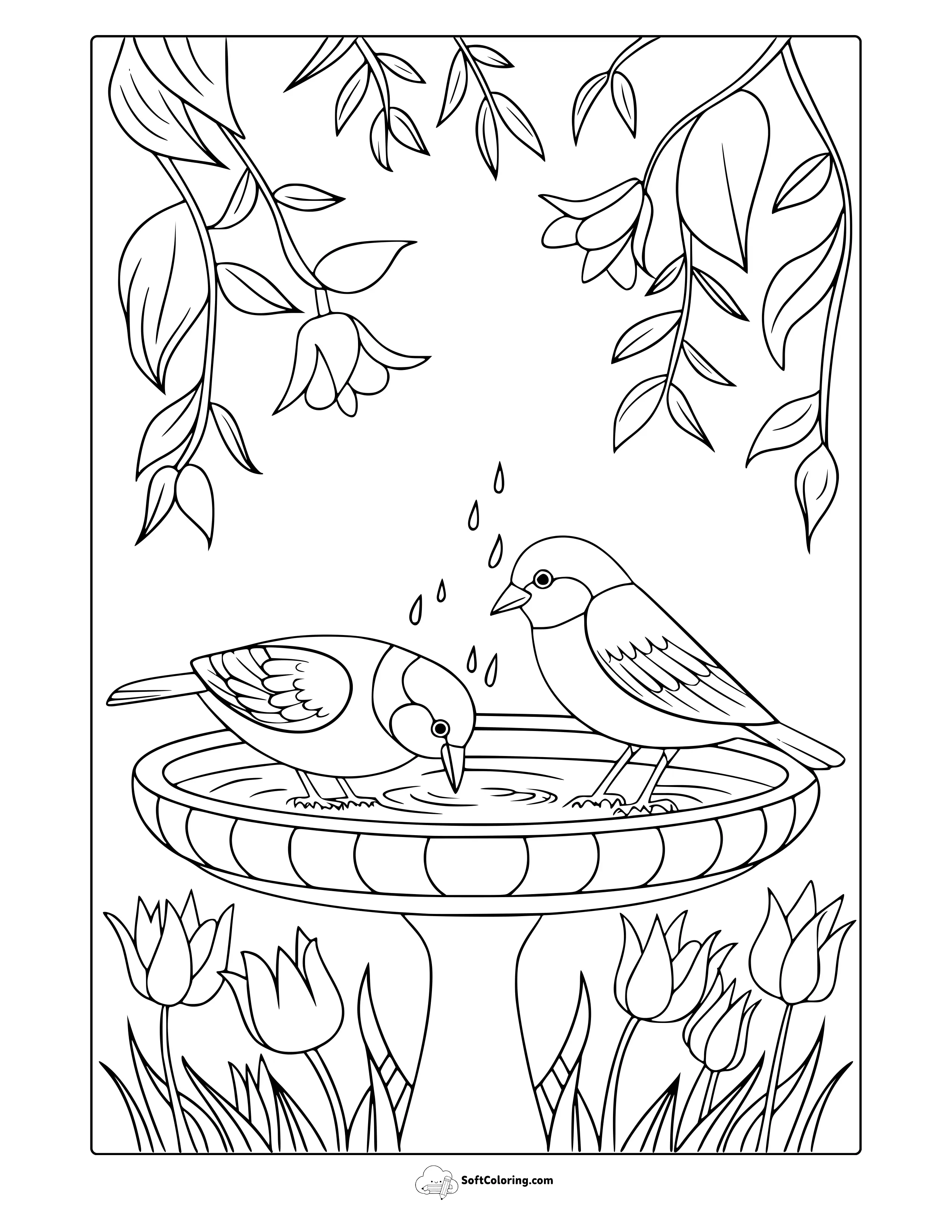 Spring Birds Coloring Page
