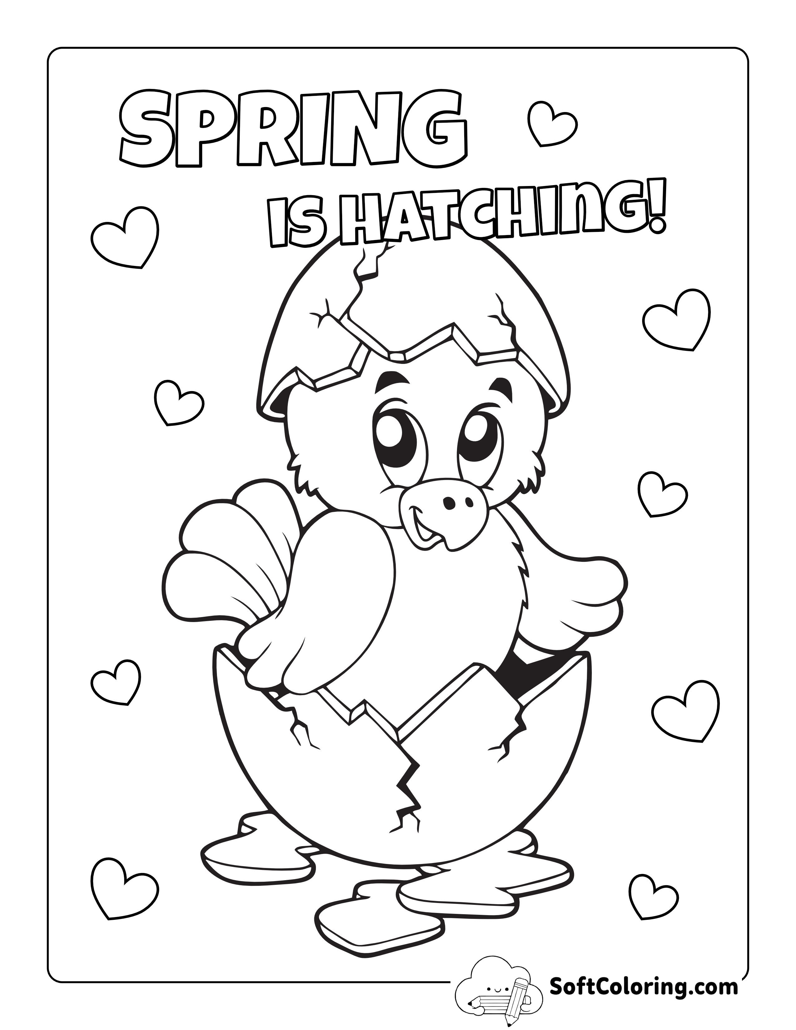 Cute Chick Hatching Bird Coloring Sheet