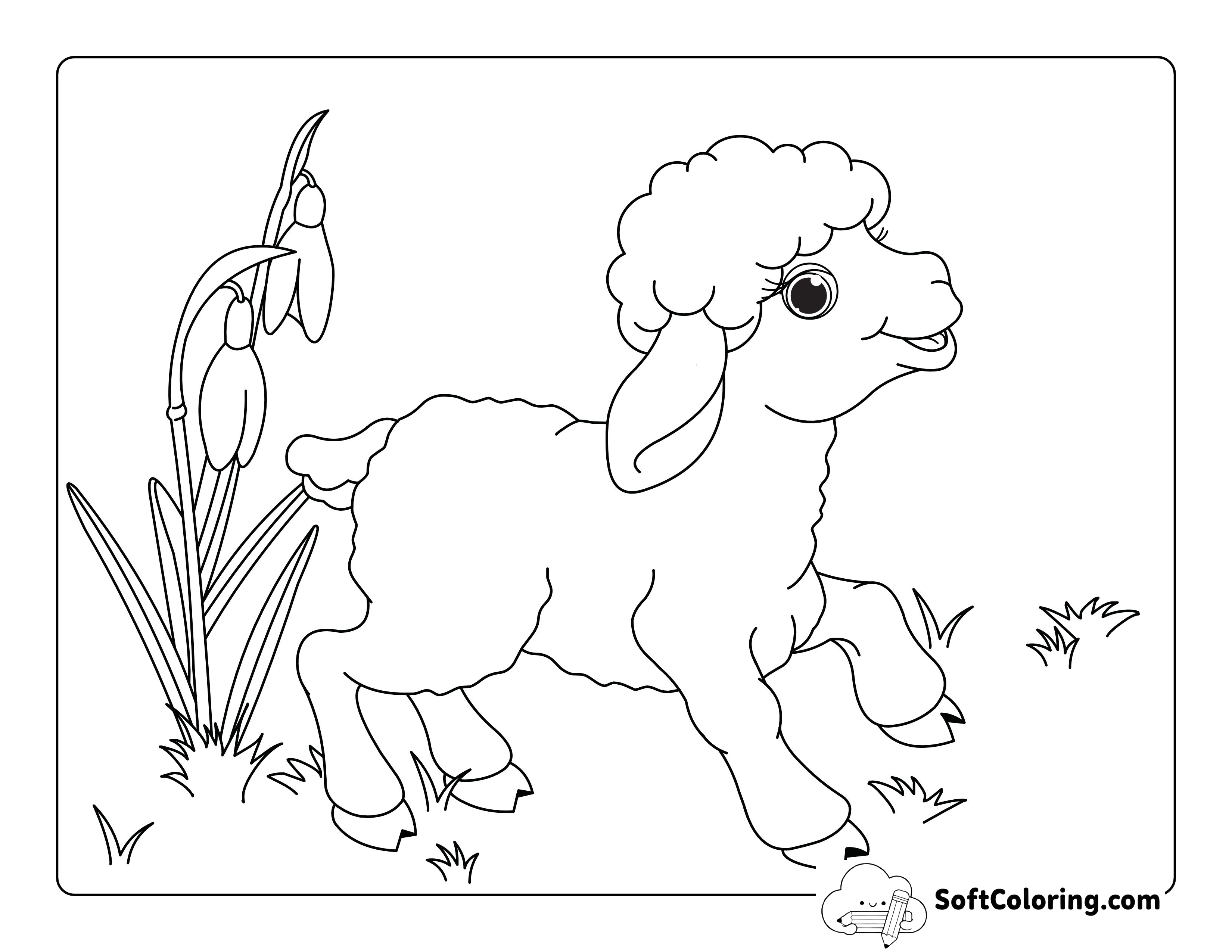 Lamb - Baby Farm Animal Coloring Page