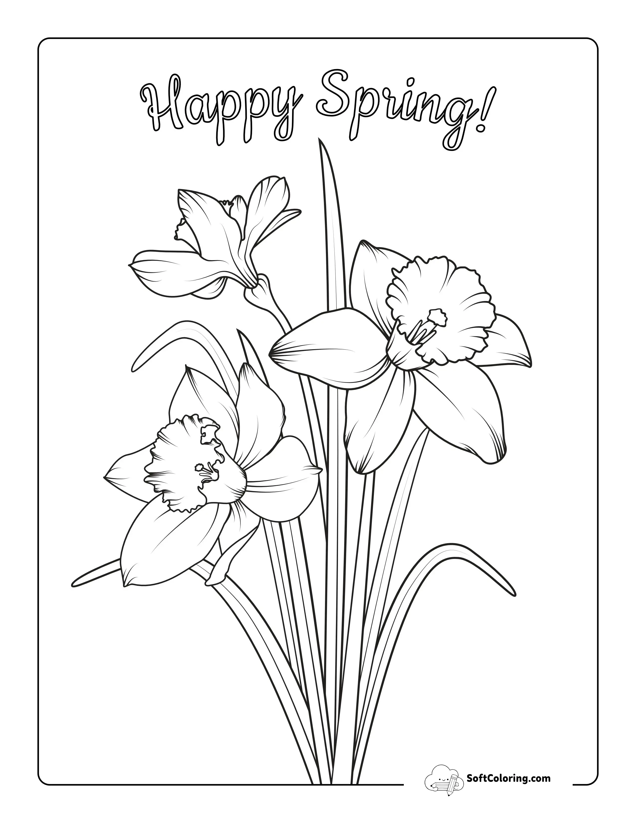 Daffodil Flowers Coloring Page