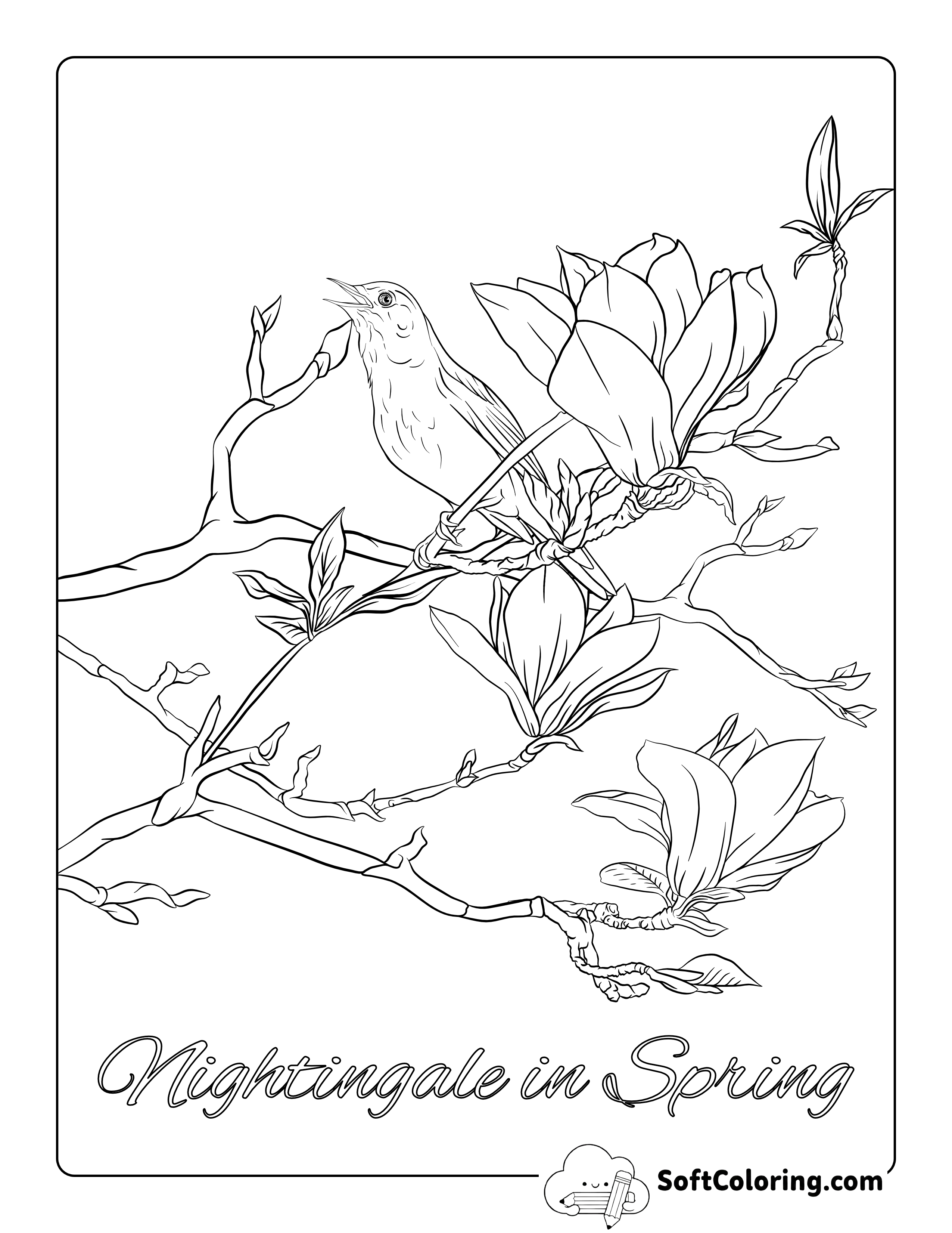 Nightingale in Magnolia Tree Coloring Page