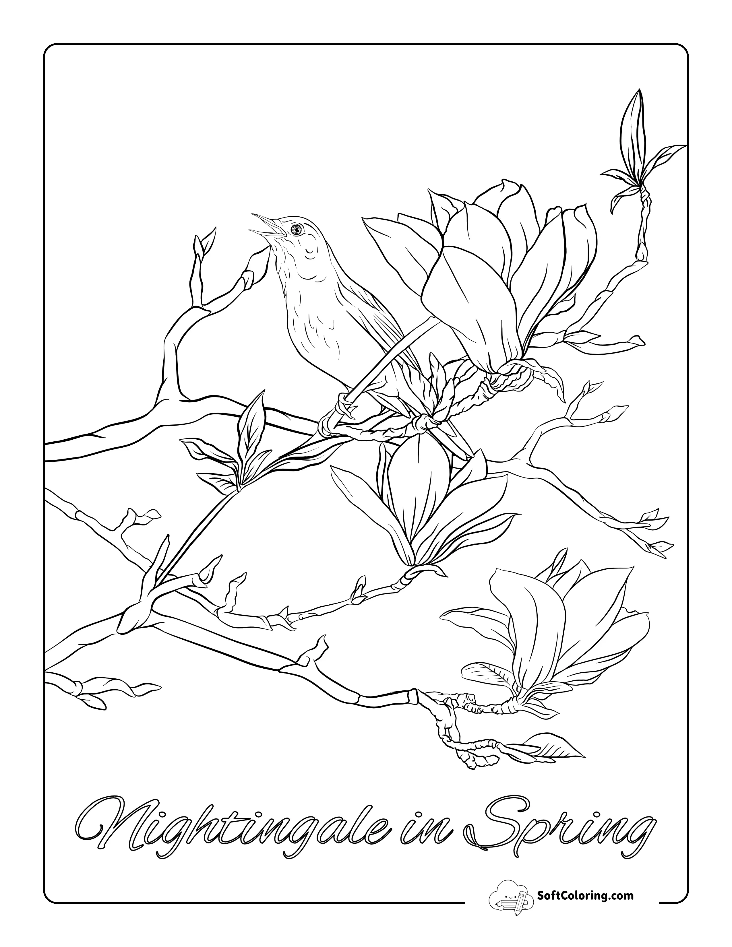 Nightingale In Magnolia Tree Coloring Page