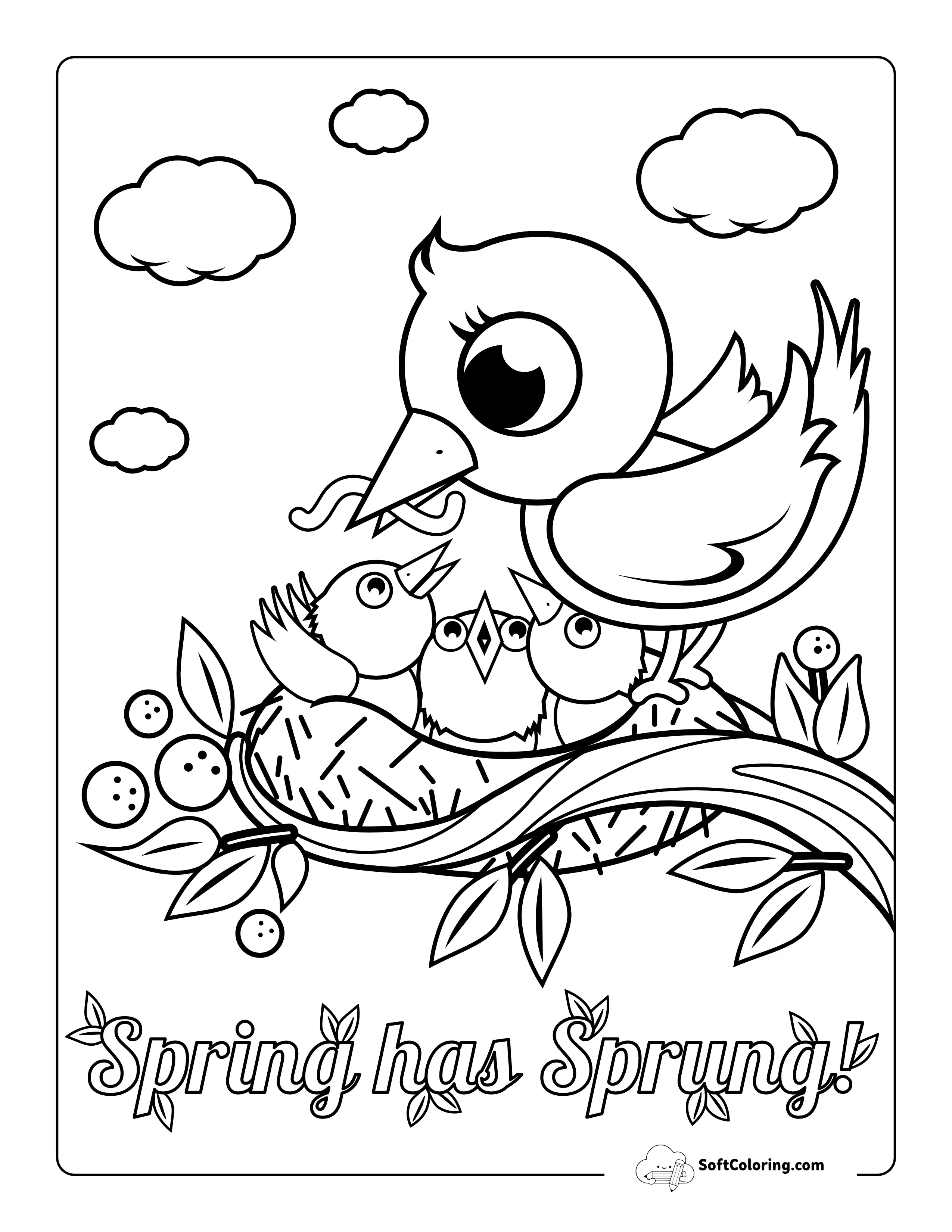 Cute Bird With Chicks In Nest Picture