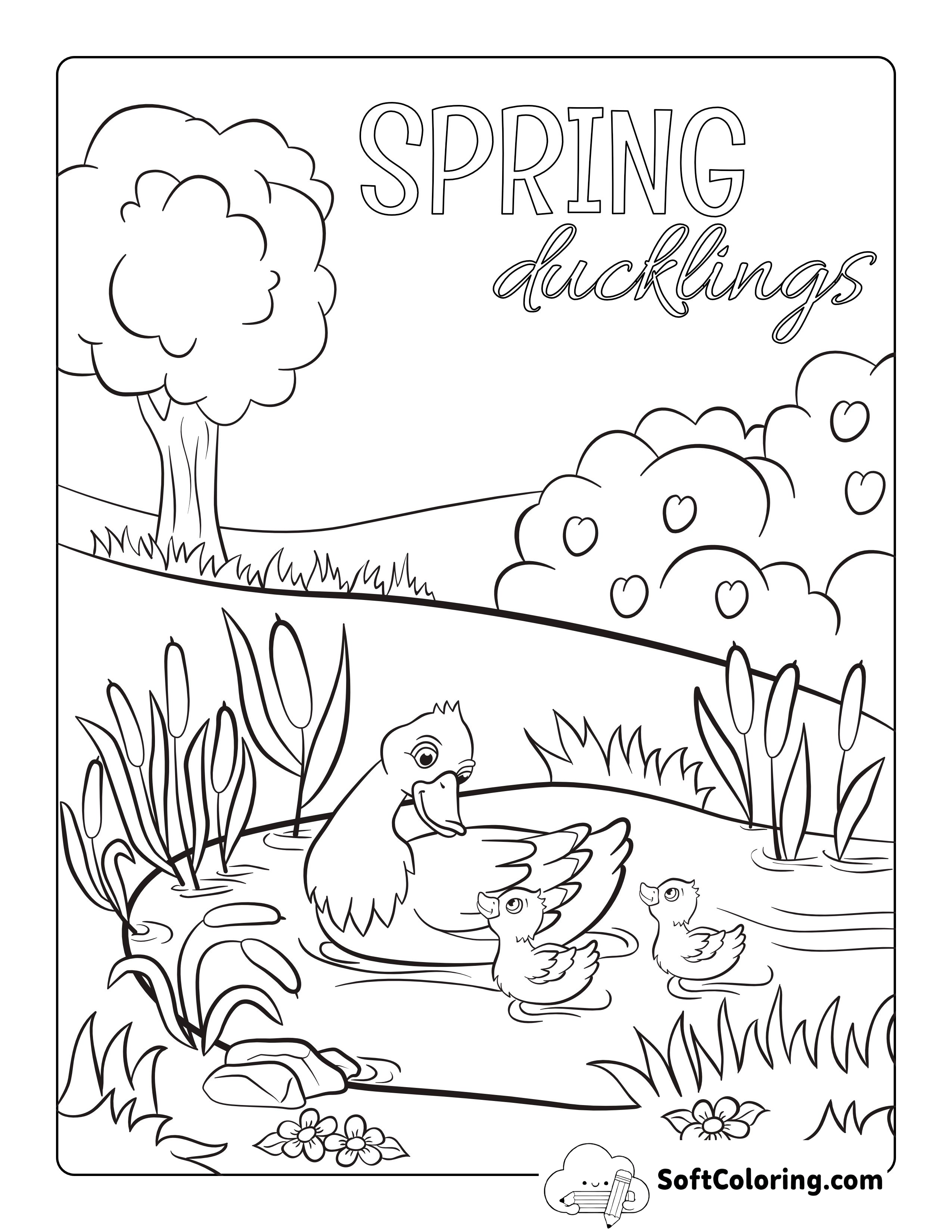 Ducks - Baby Animal Coloring Page