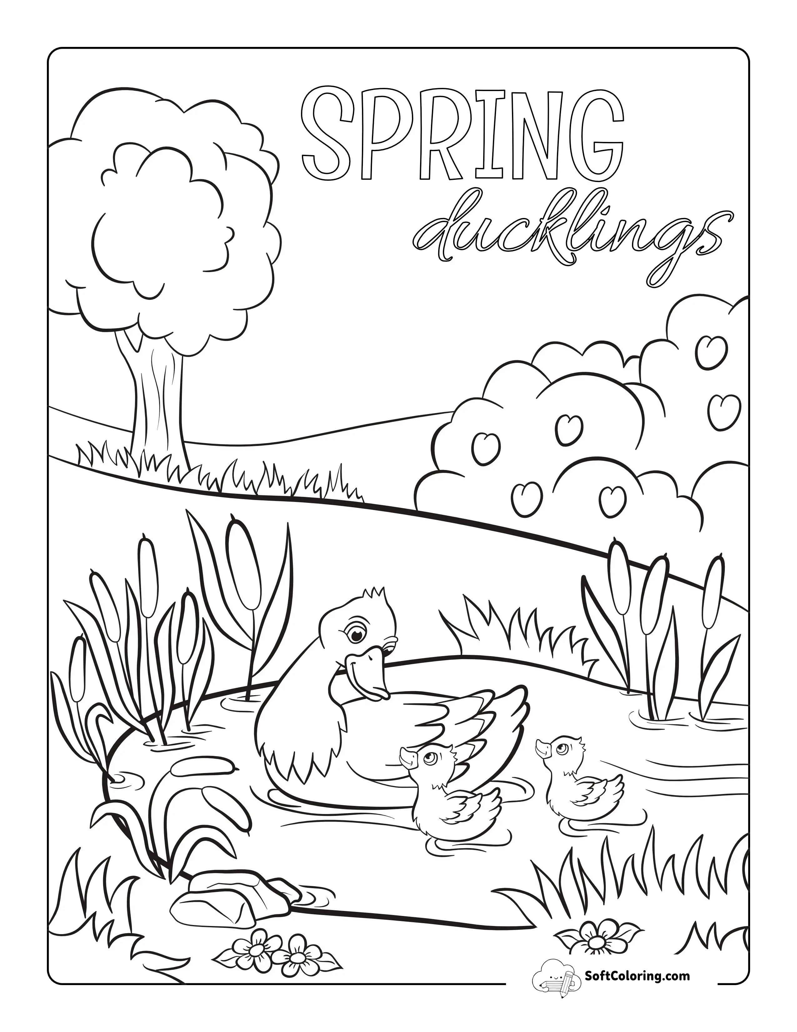 Mother Duck With Duckling Picture