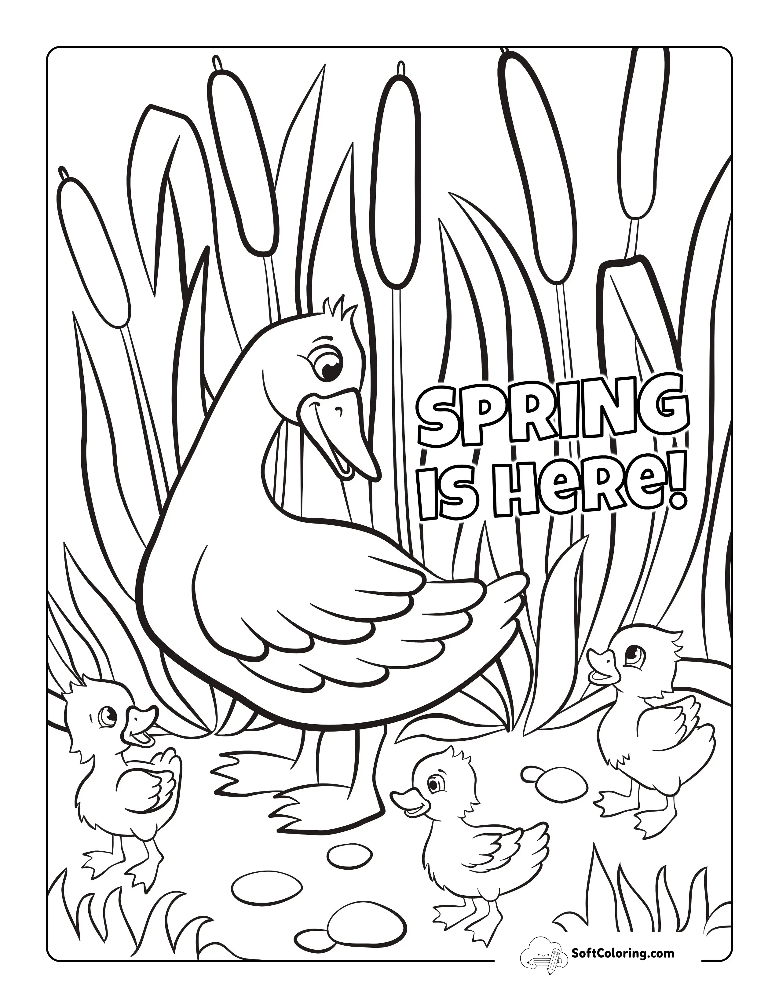 Ducklings - Baby Animal Coloring Sheet
