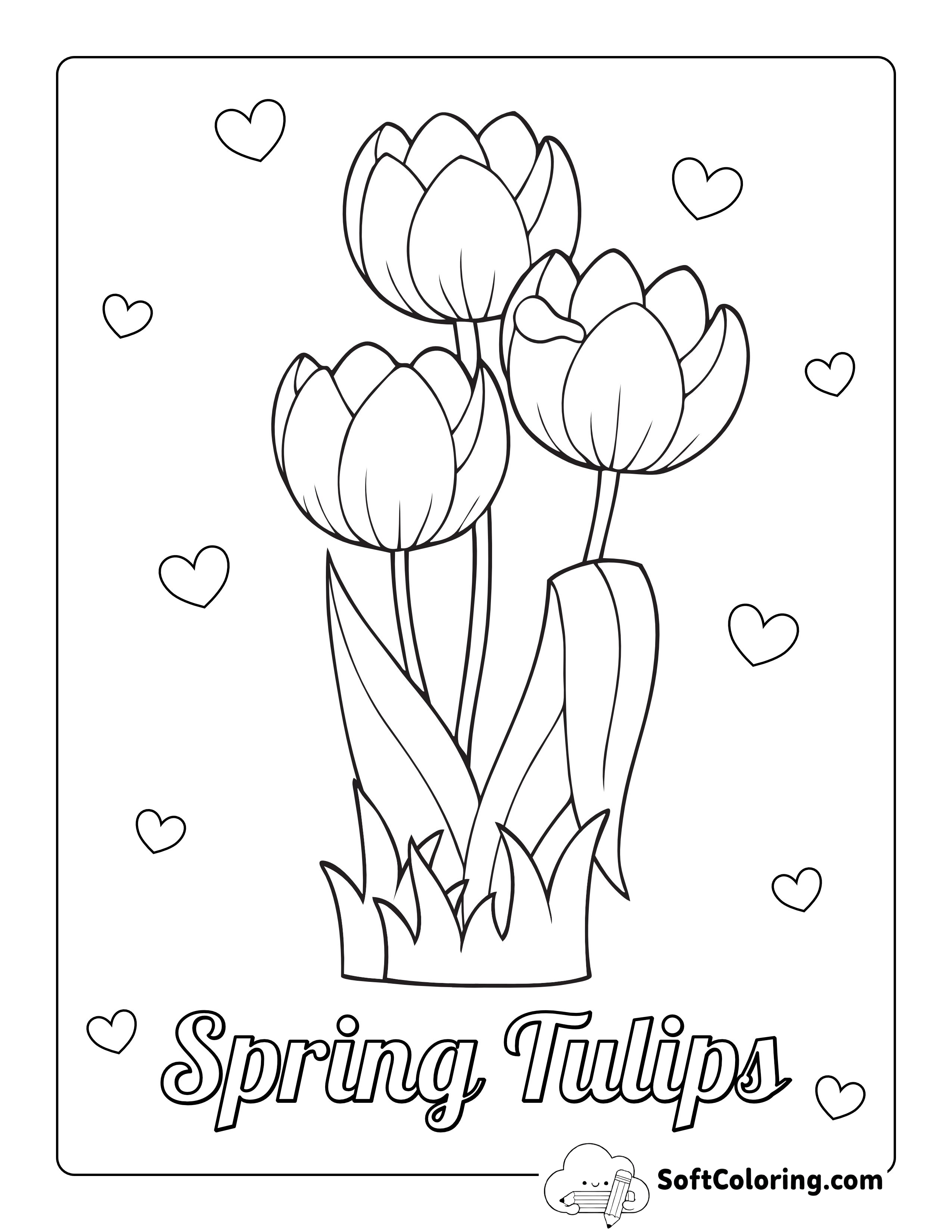 Spring Tulips Coloring Page for Kids