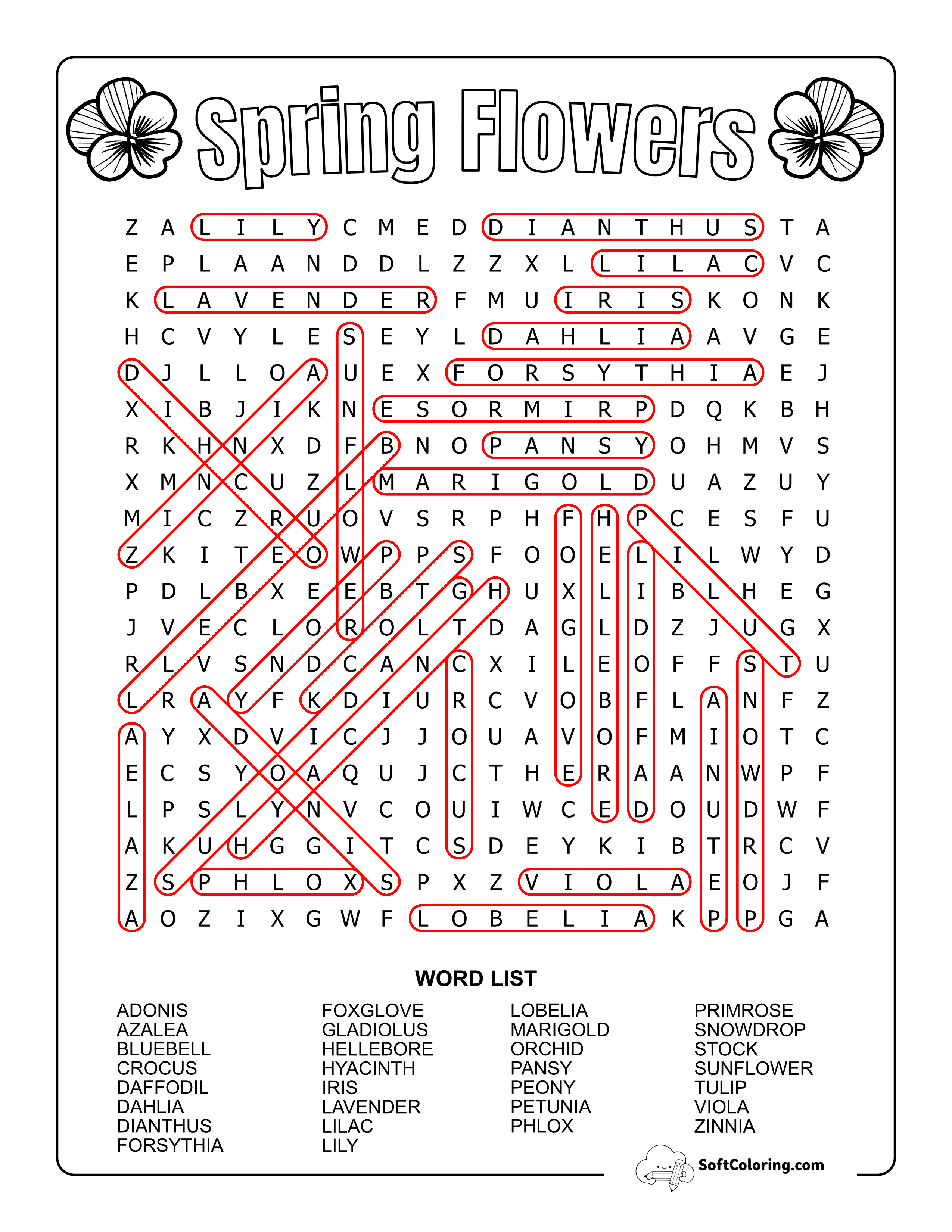 Hard Spring Flowers Solution