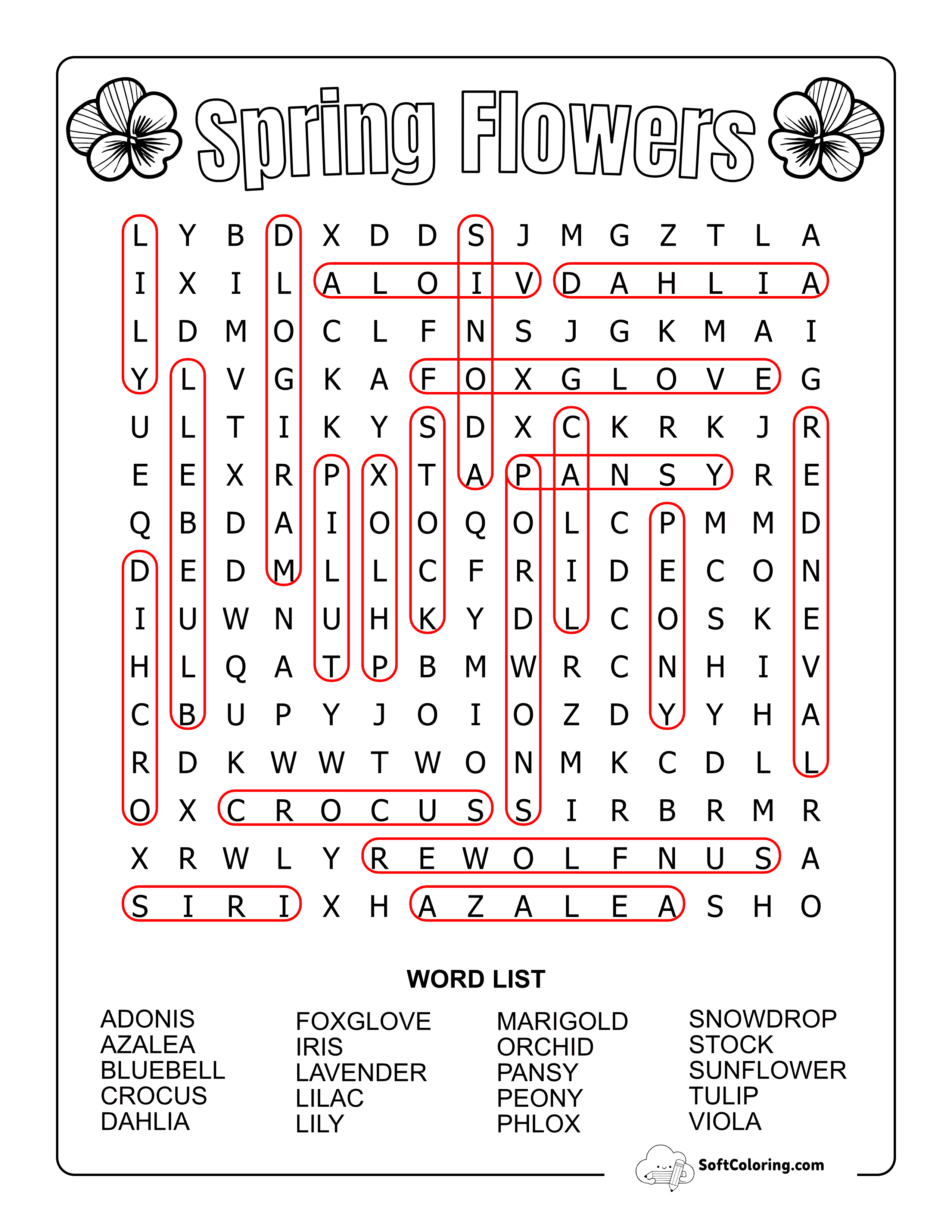 Medium Spring Flowers Solution