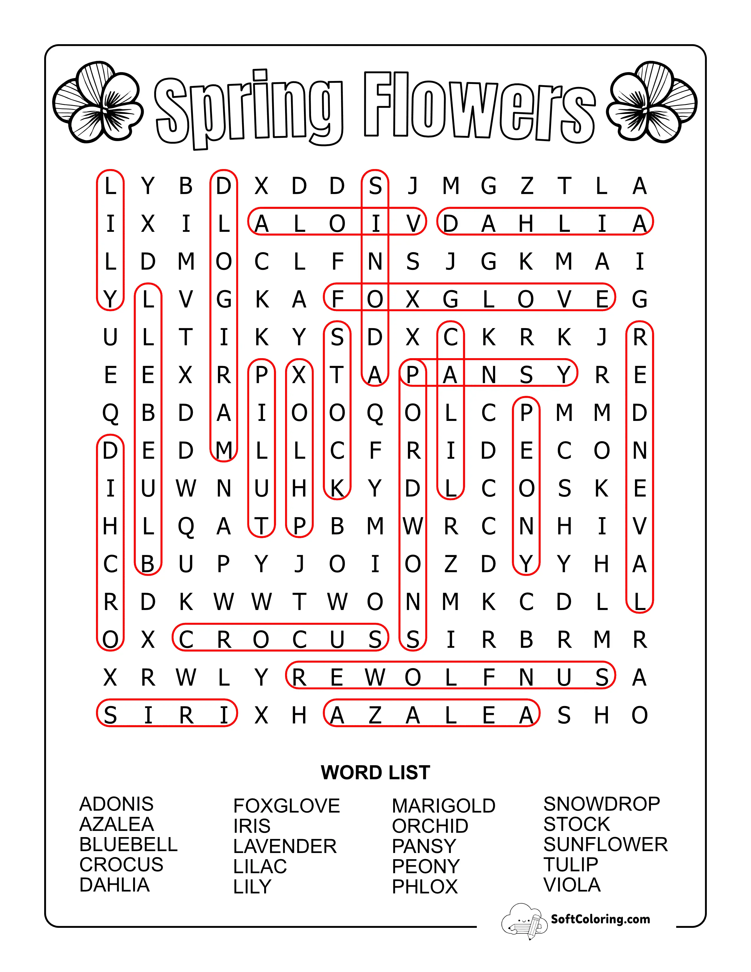 Medium Spring Flowers Solution