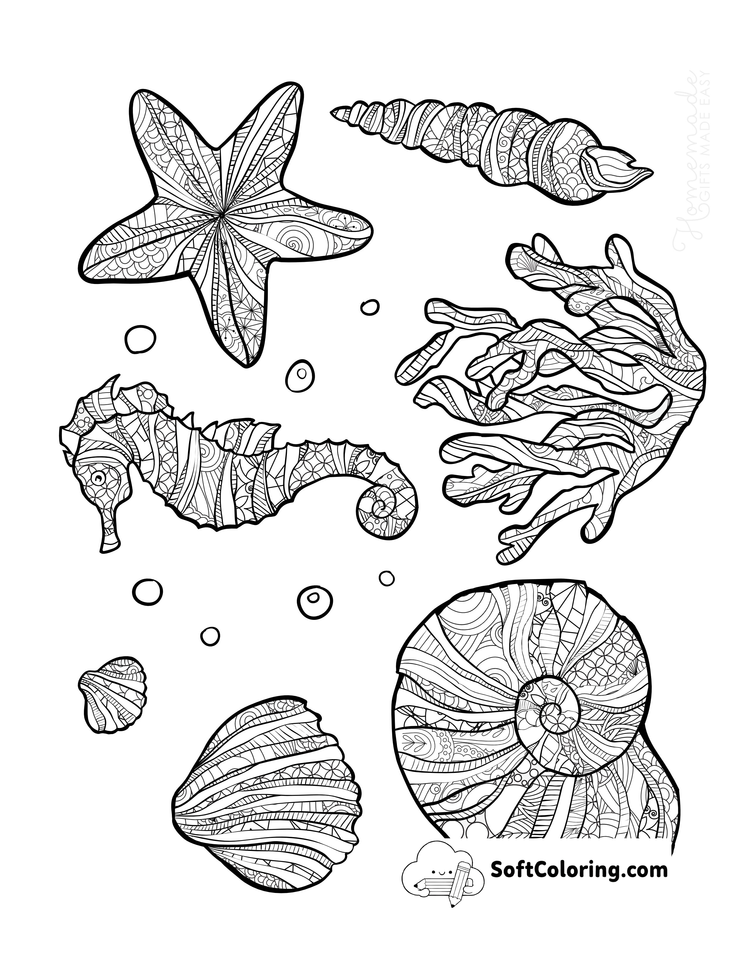 Detailed Sea Shells Coloring Page for Adults