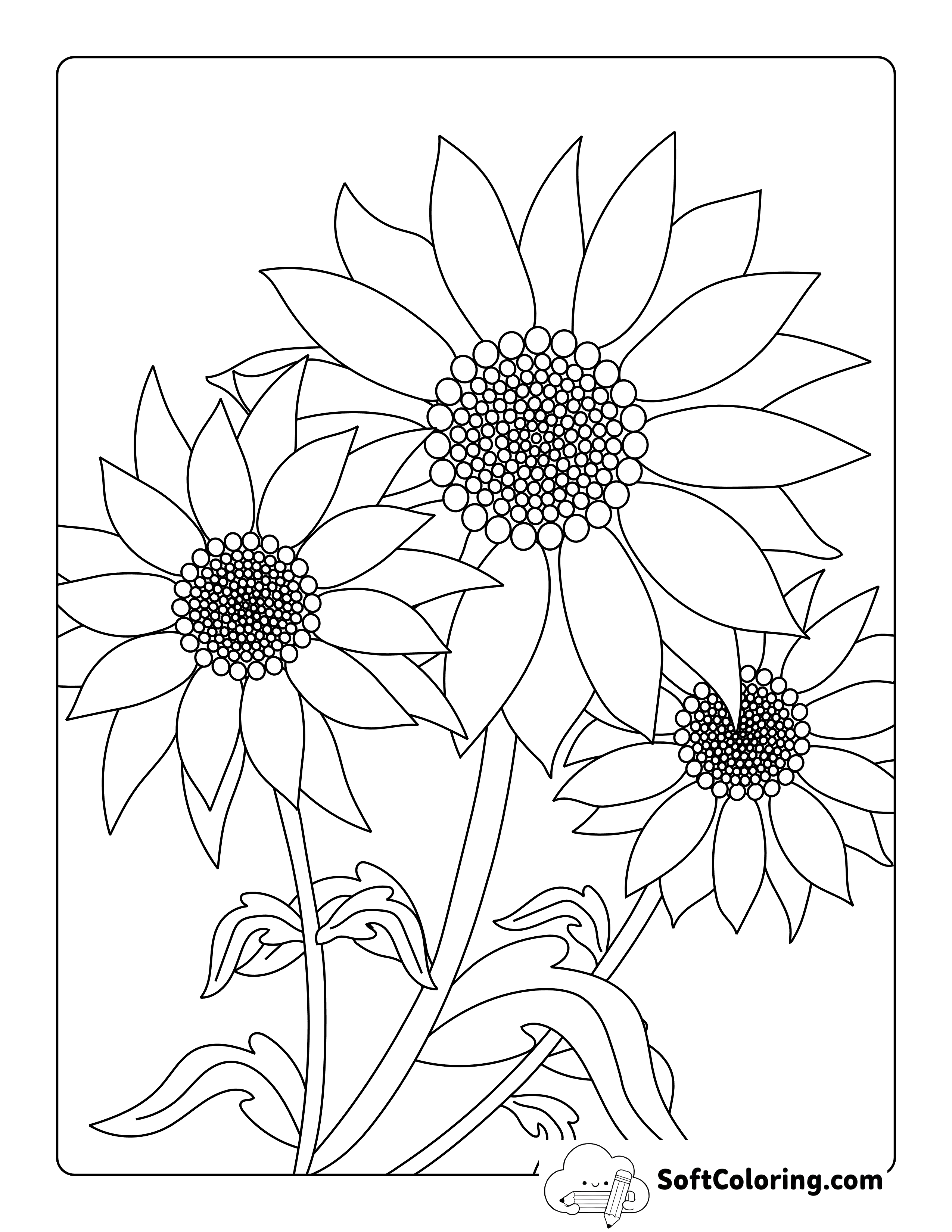Simple Realistic Sunflower Coloring Sheet