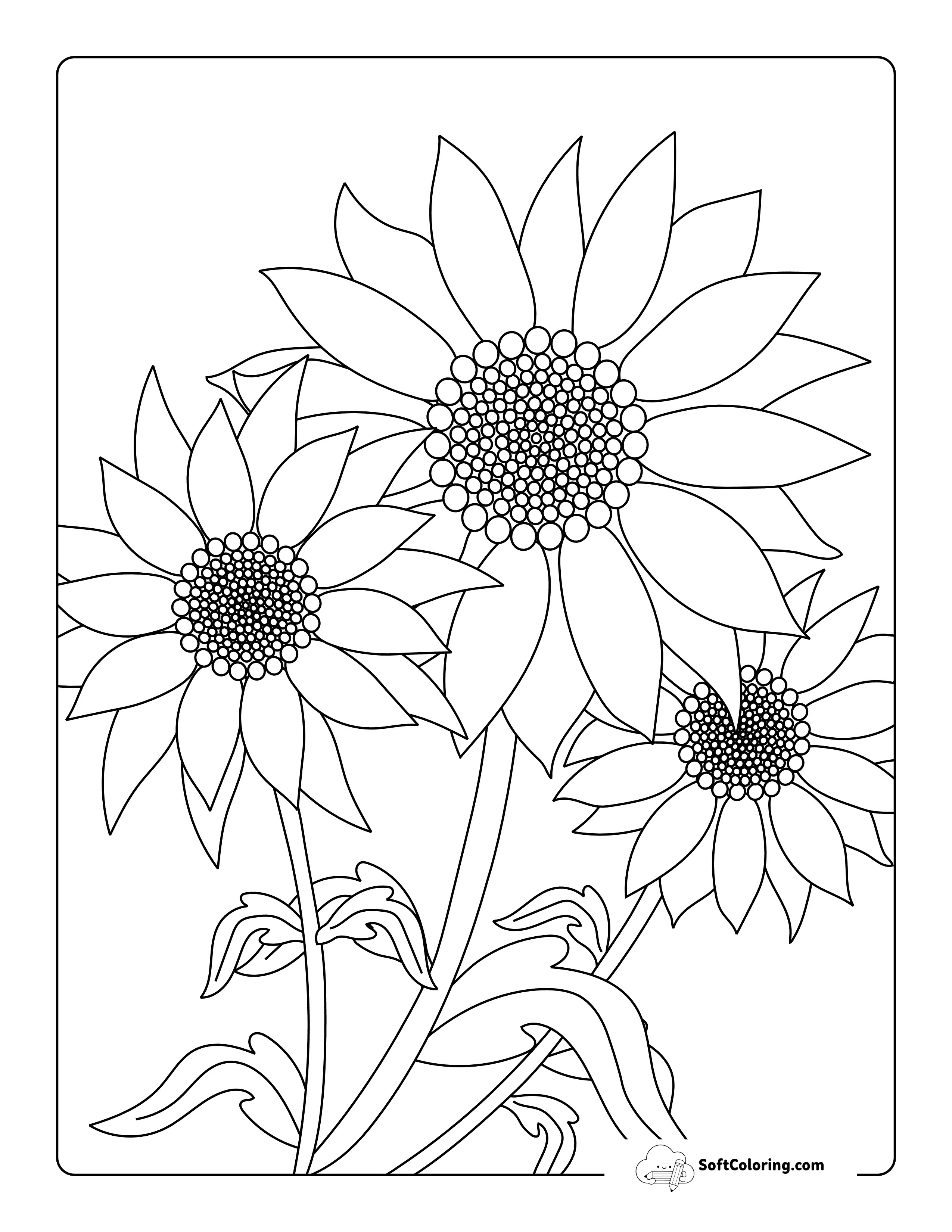 Simple Realistic Sunflower Coloring Sheet