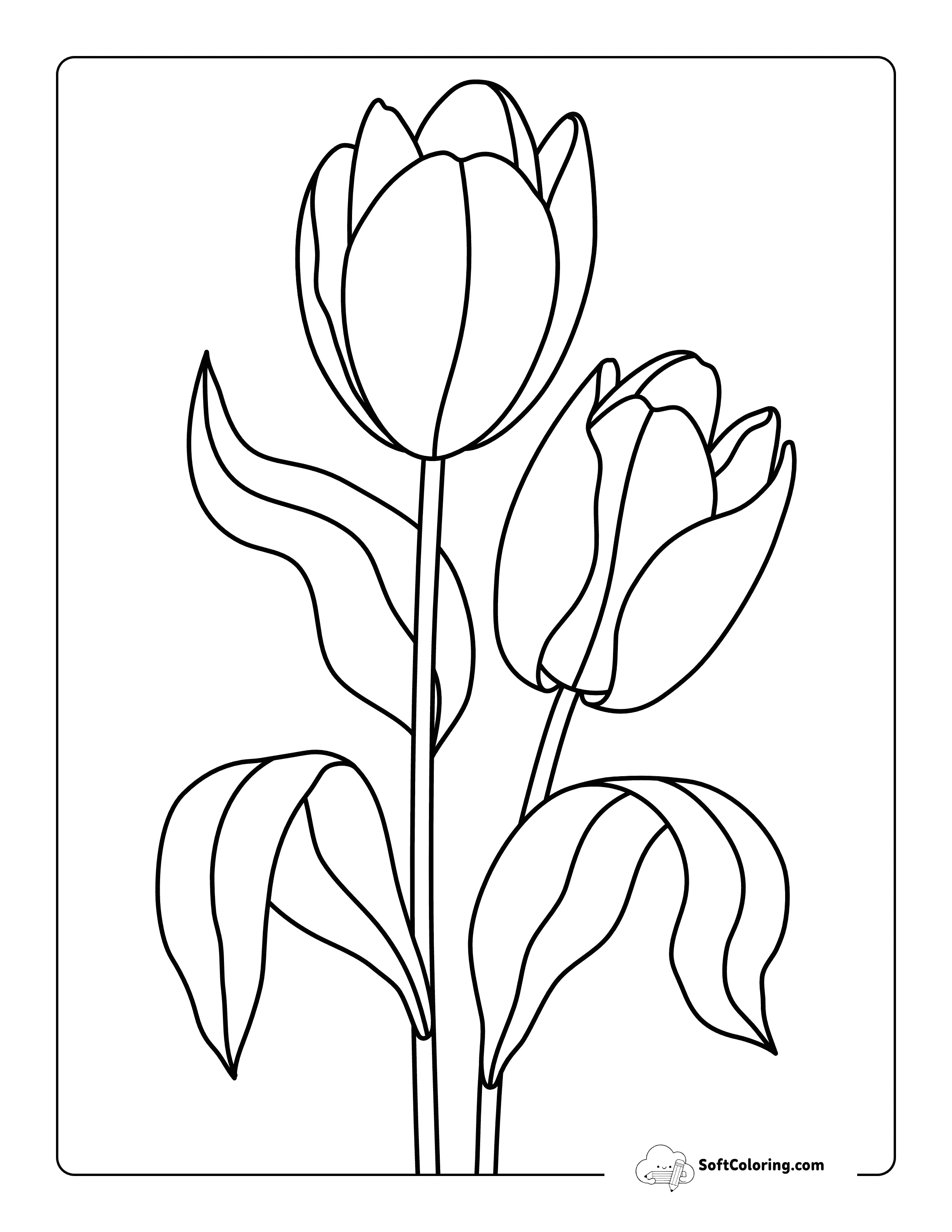 Easy Realistic Tulip Printable To Color