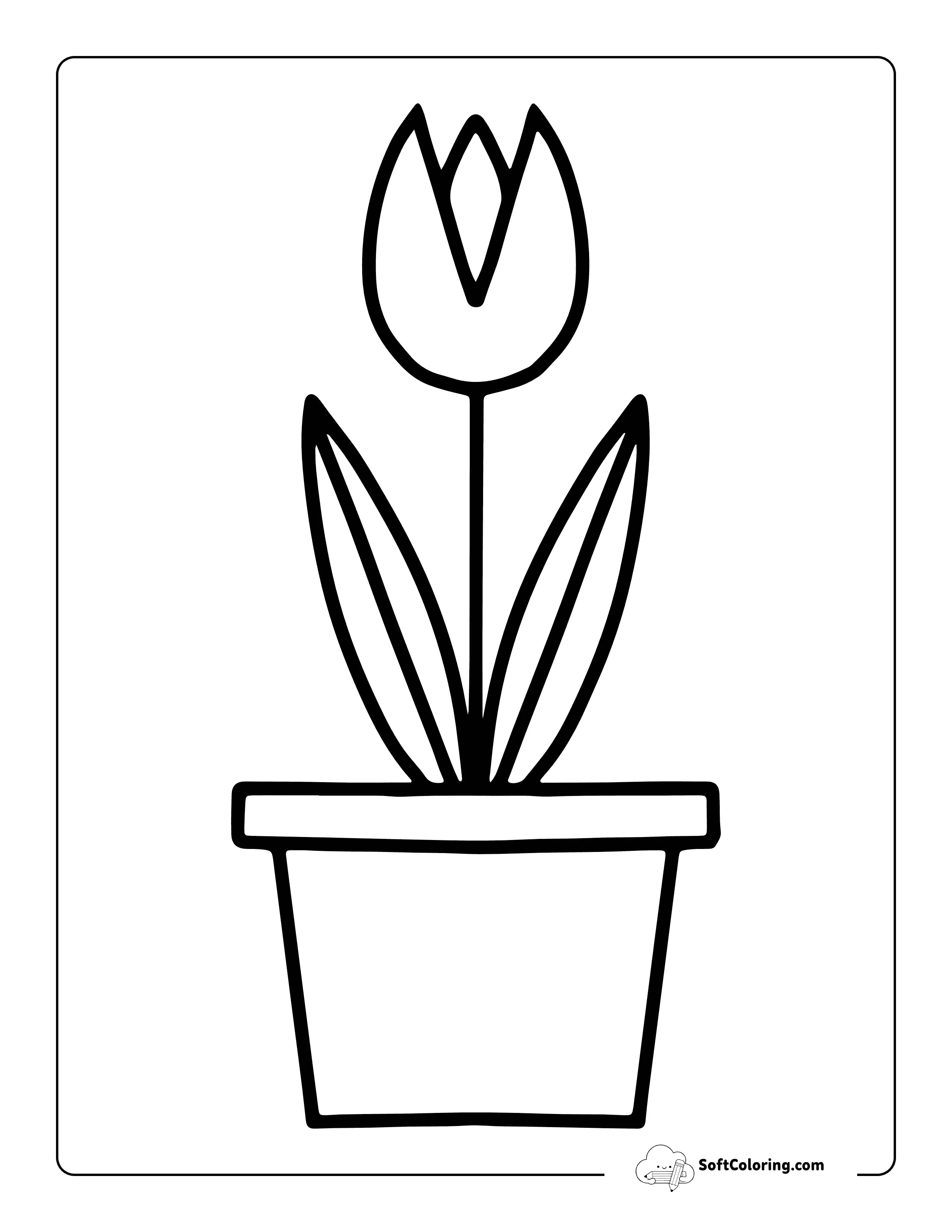 Potted Tulip Outline To Color