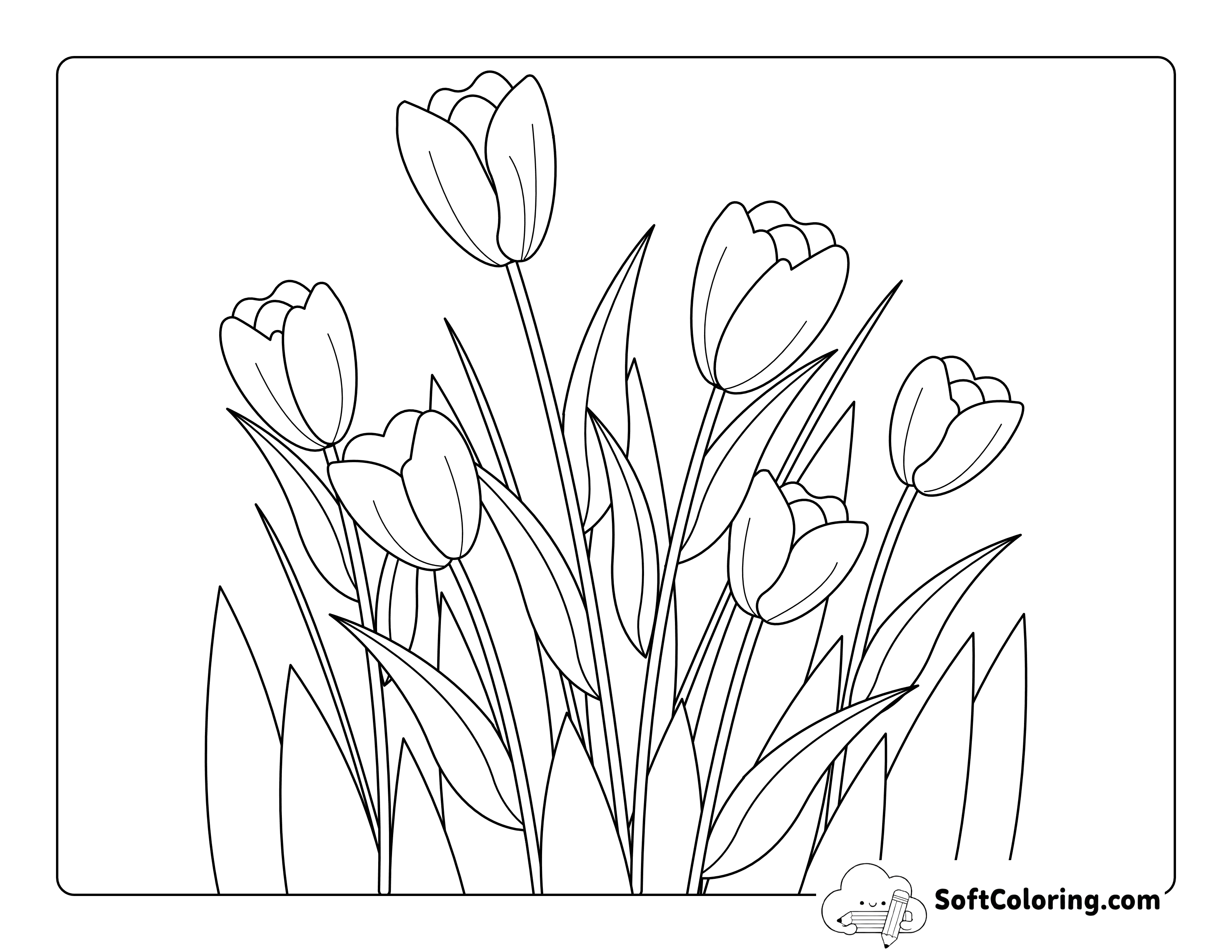 Simple Bunch of Tulips Outline to Color