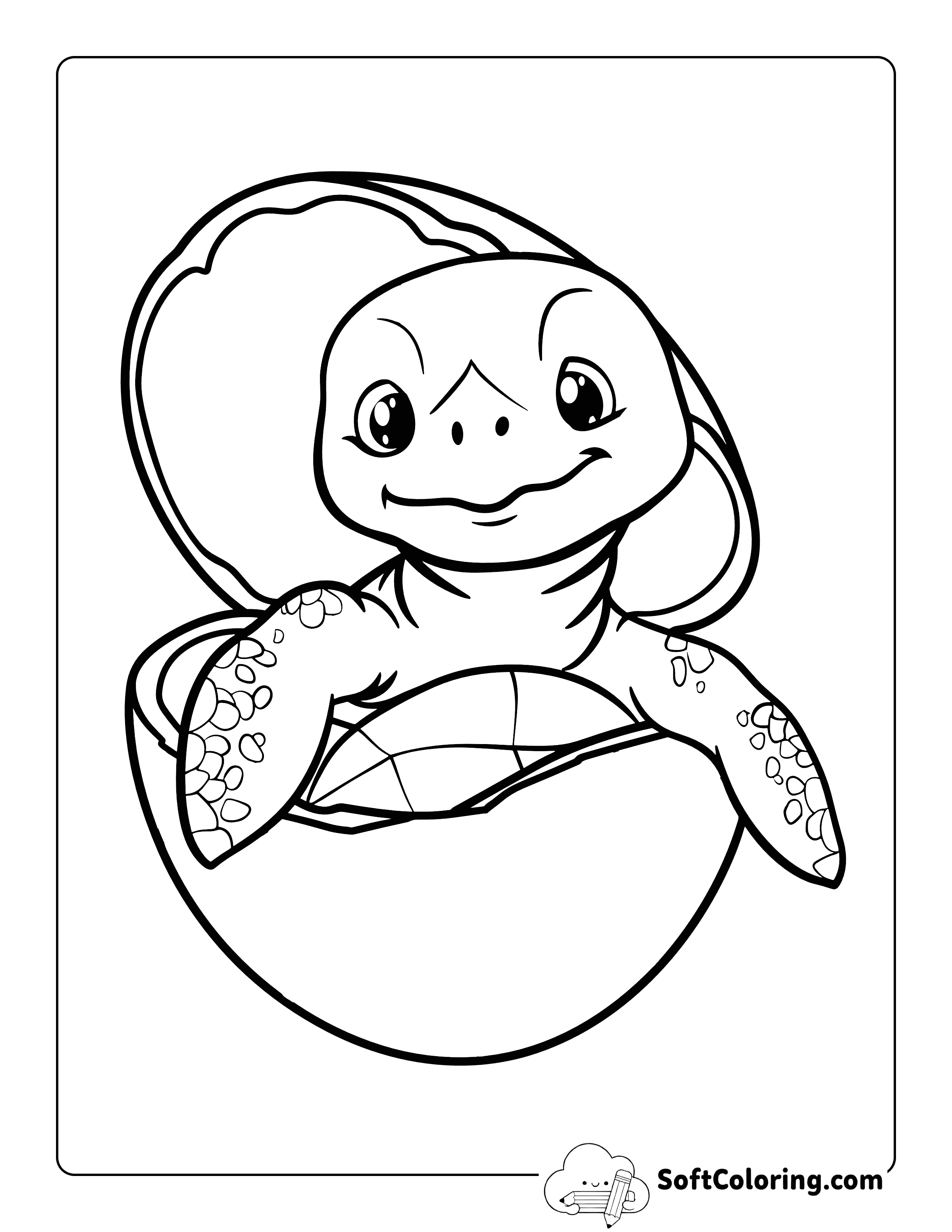 Cute Baby Turtle Coloring Page Egg Hatching