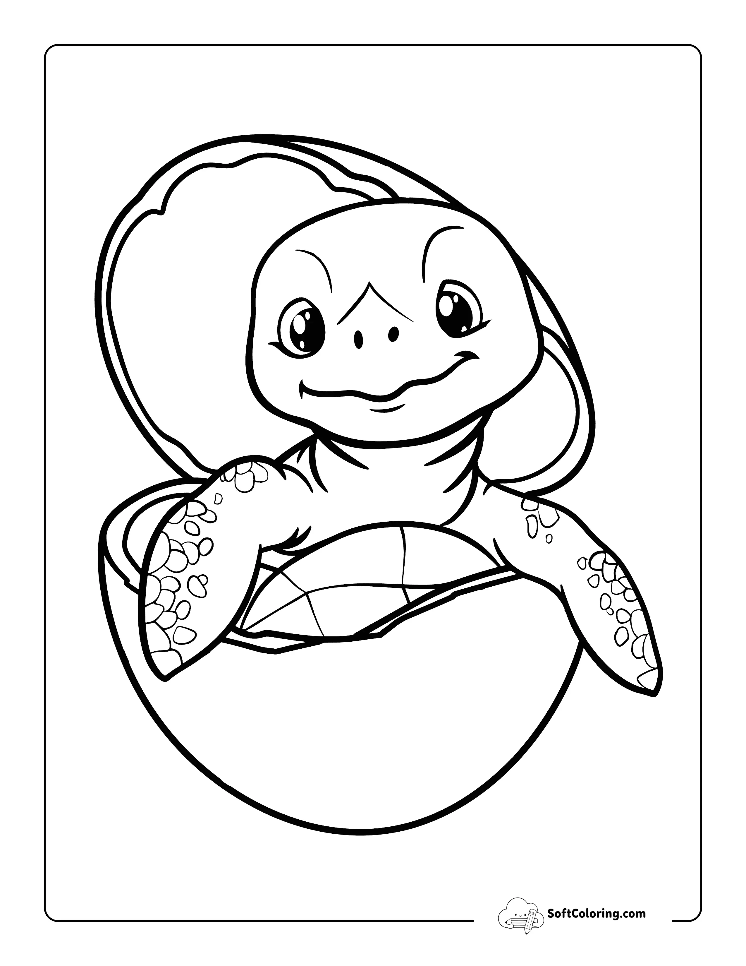 Cute Baby Turtle Coloring Page Egg Hatching