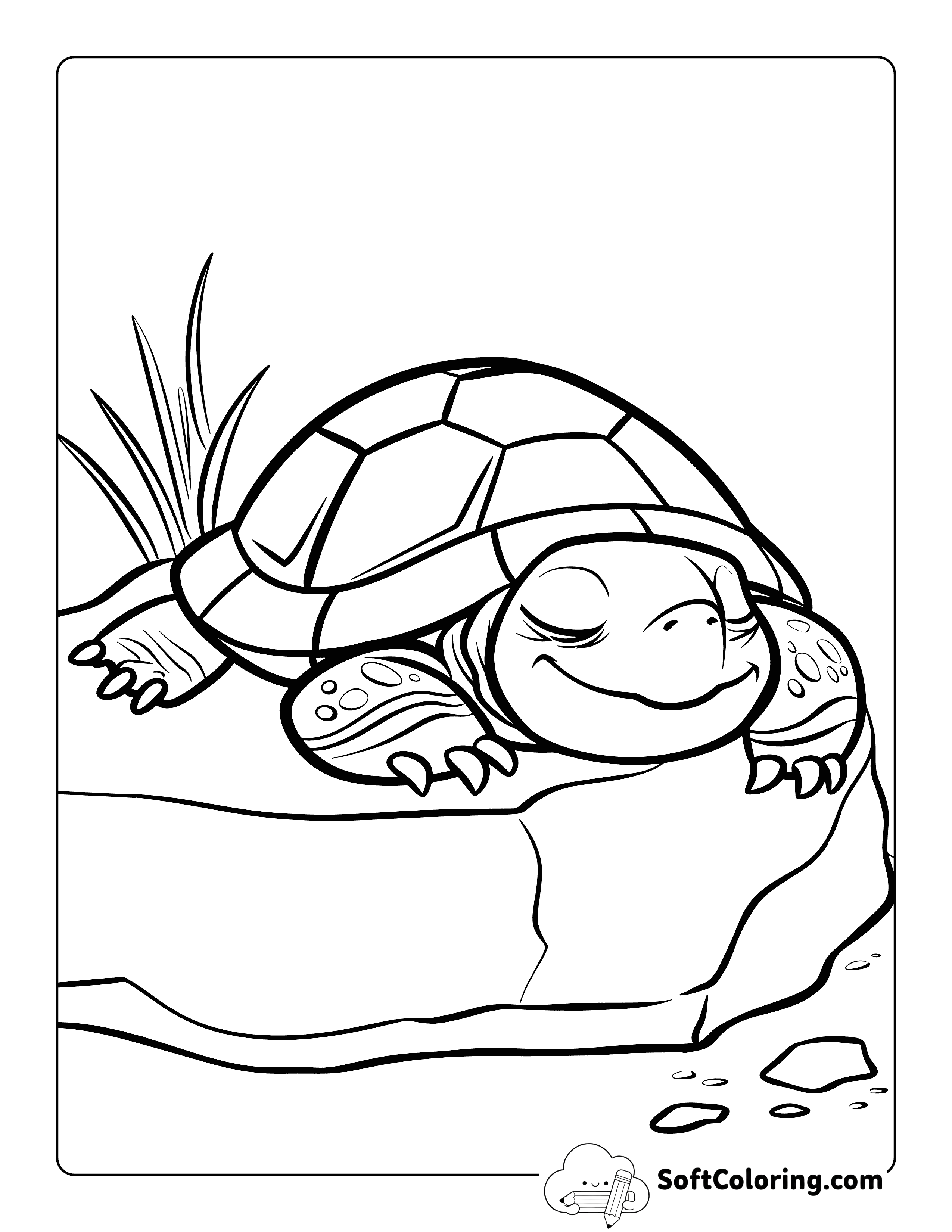 Napping Cute Turtle Coloring Page for Kids