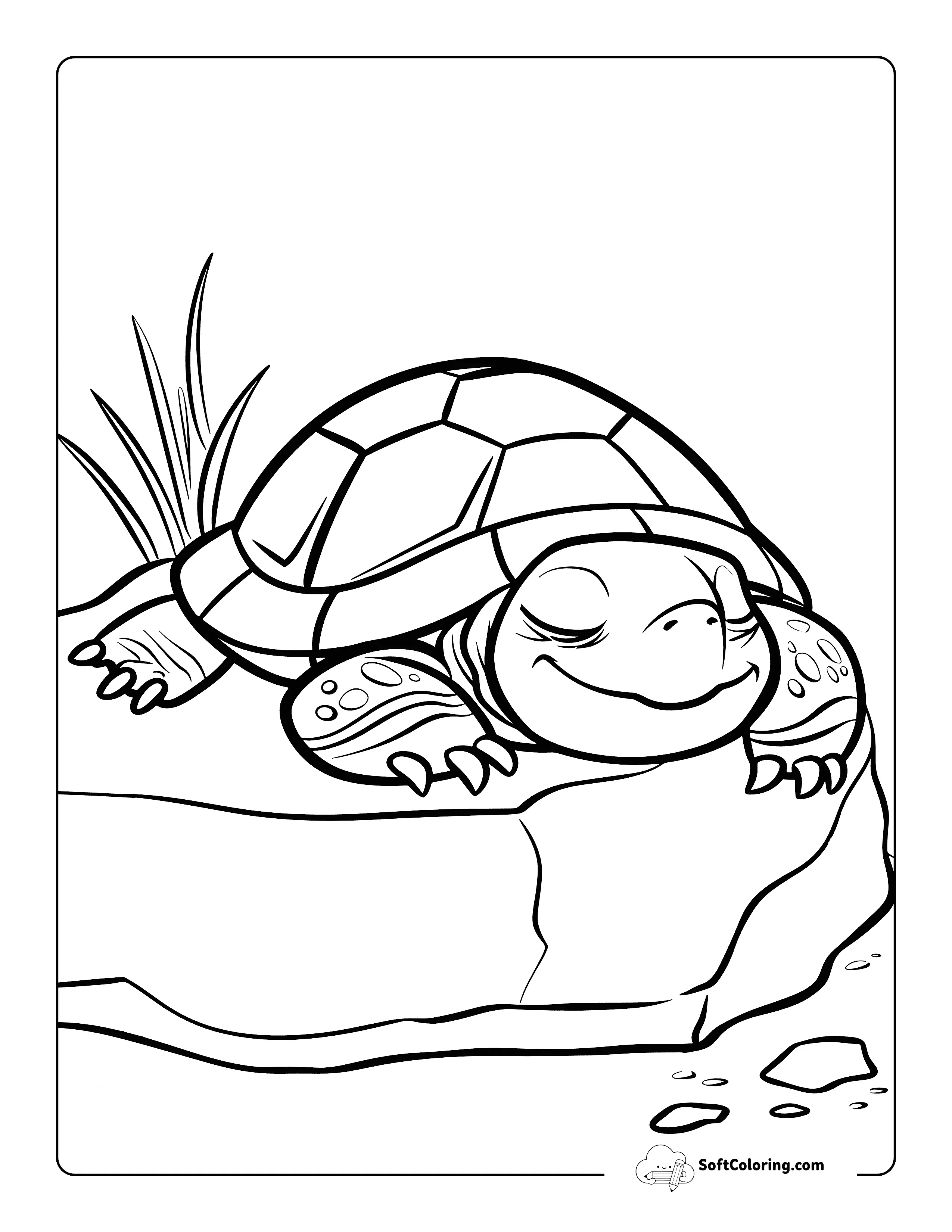 Napping Cute Turtle Coloring Page For Kids