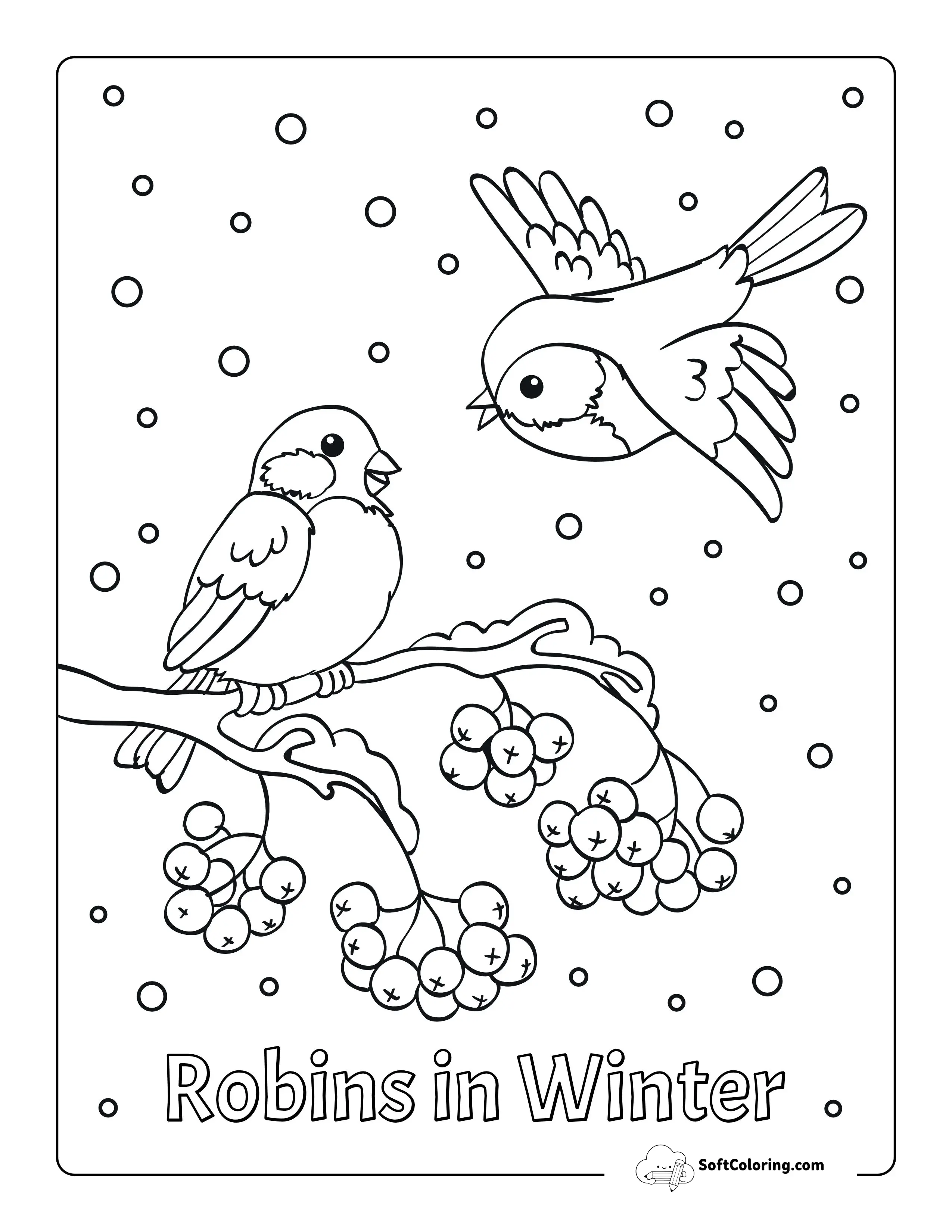 Winter Birds Picture To Color