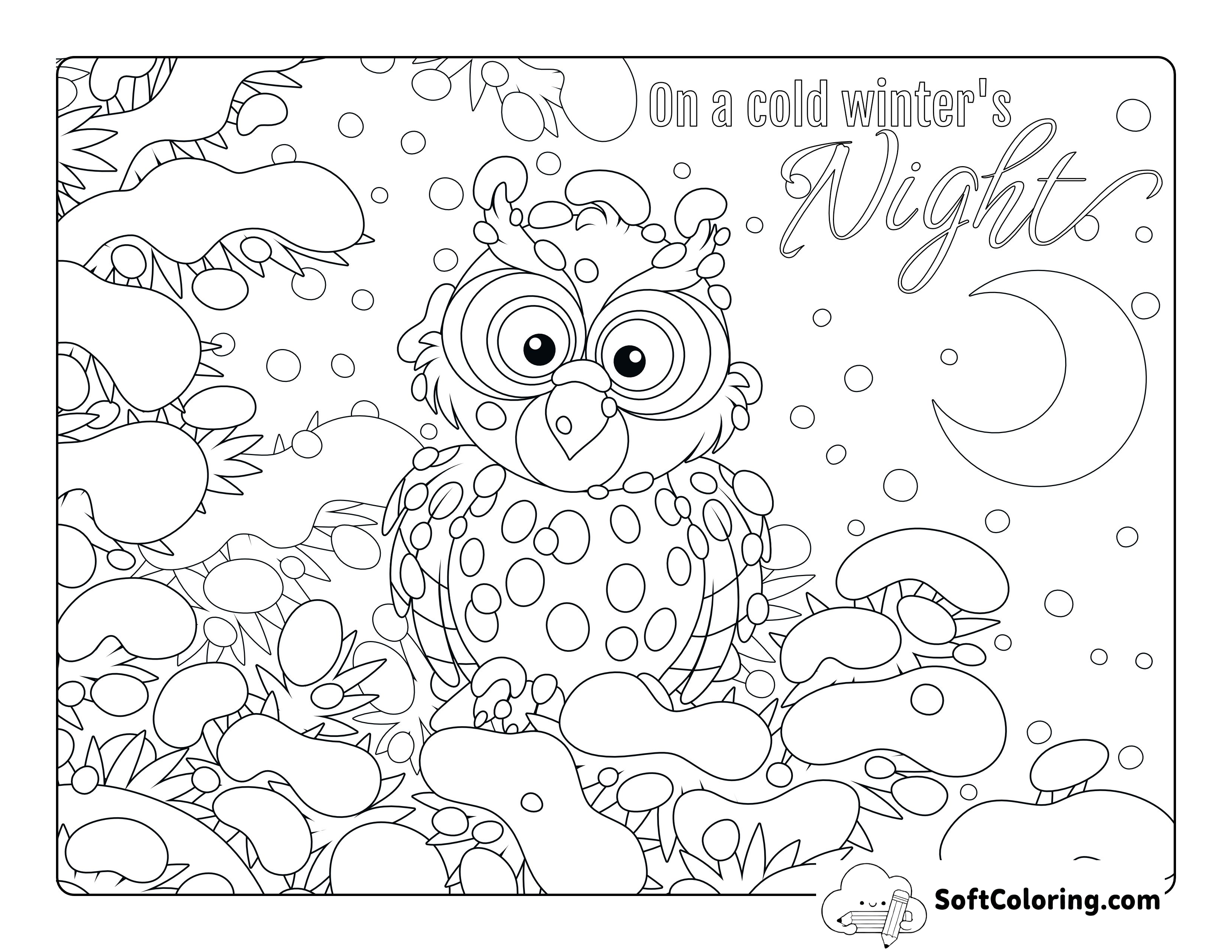 Owl in Snowy Tree Picture to Color