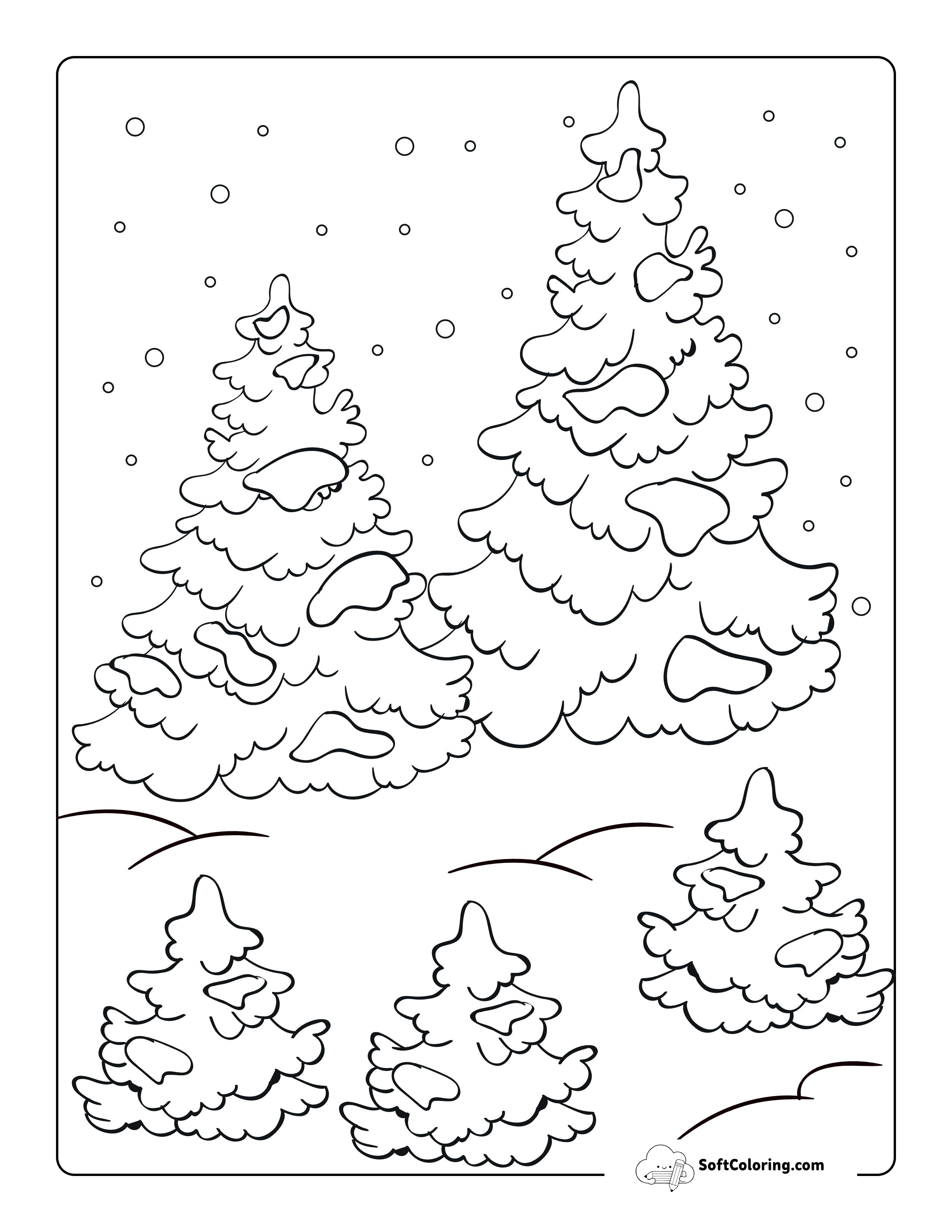 Snowy Winter Pine Tree Coloring Page