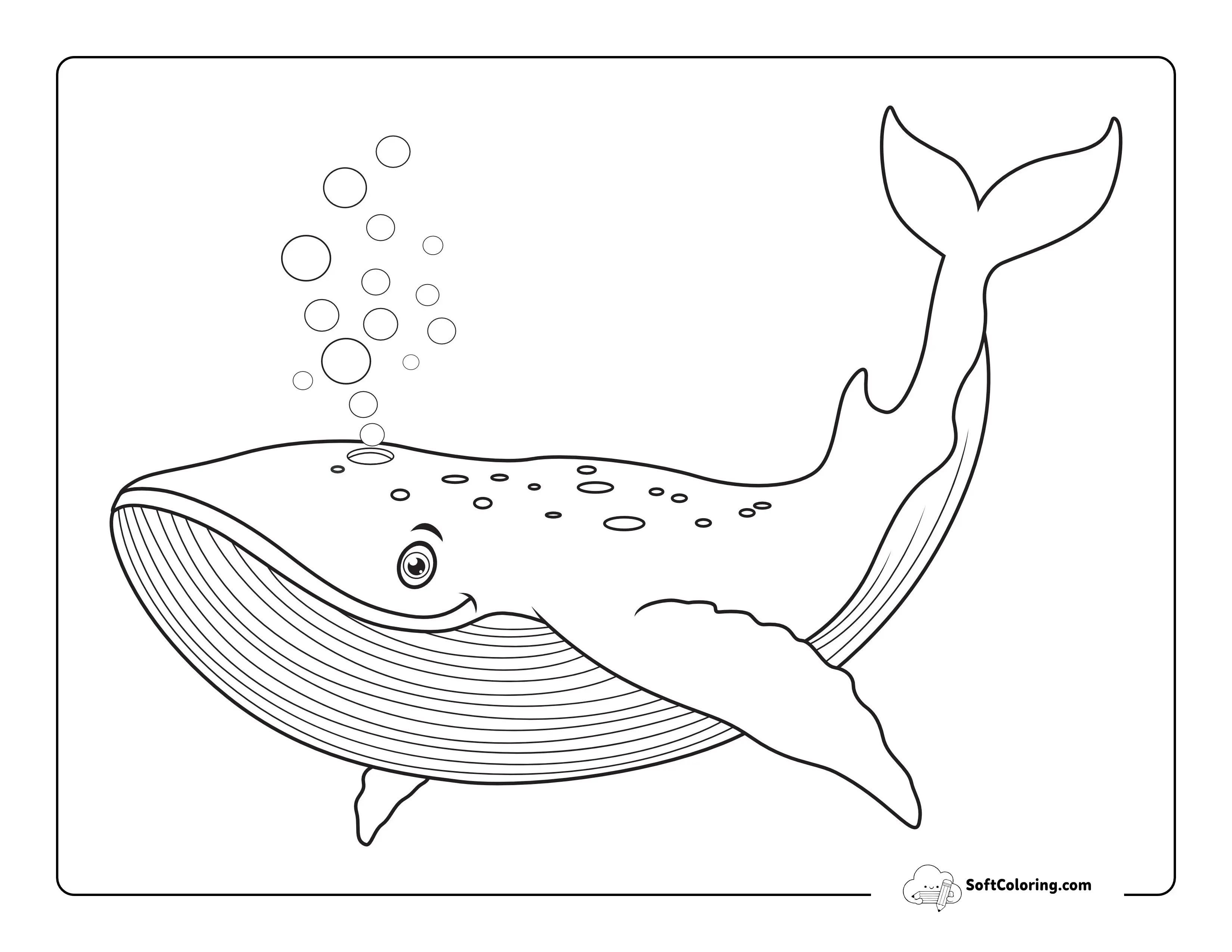 Simple Blue Whale Coloring Page Whale