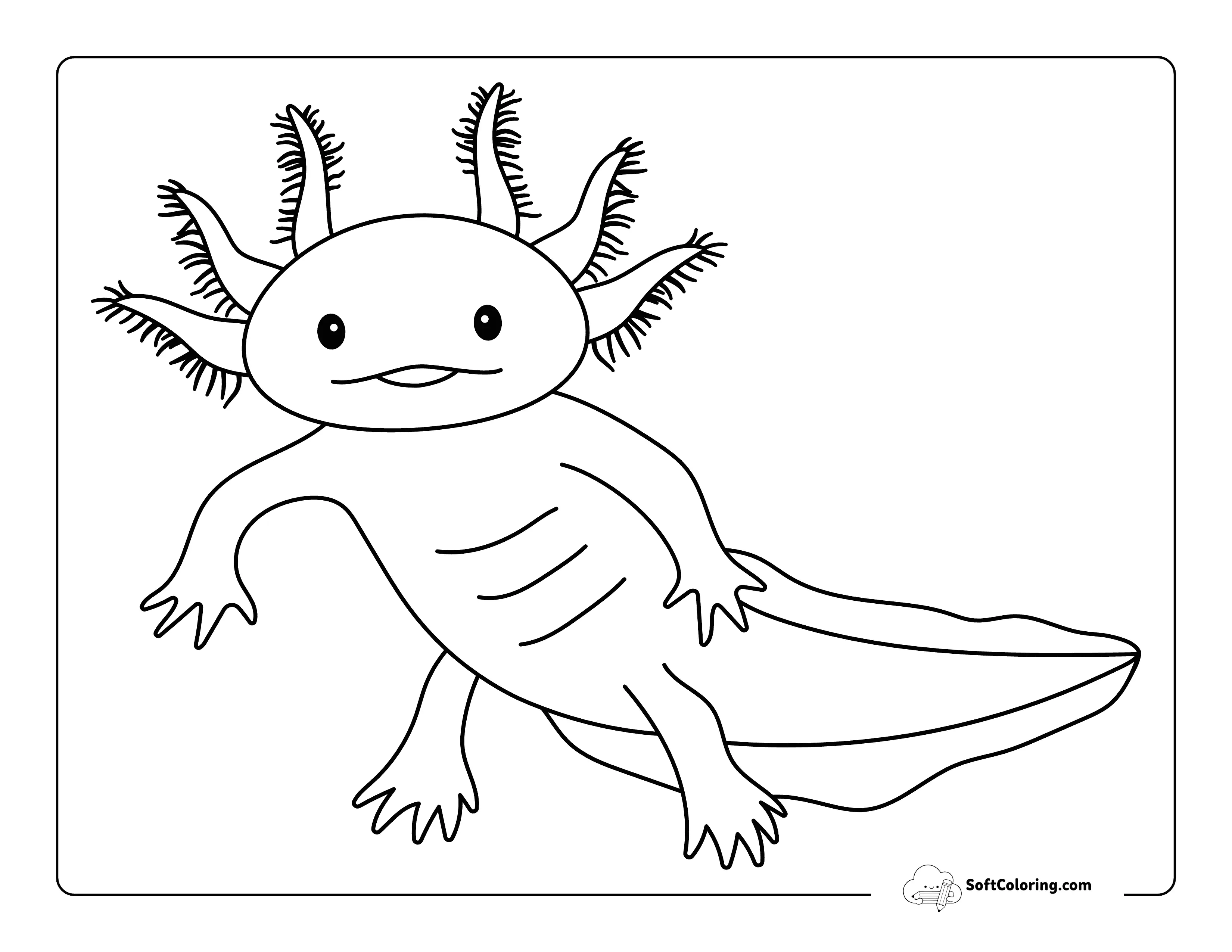 Cute And Realistic Axolotl Drawing To Color